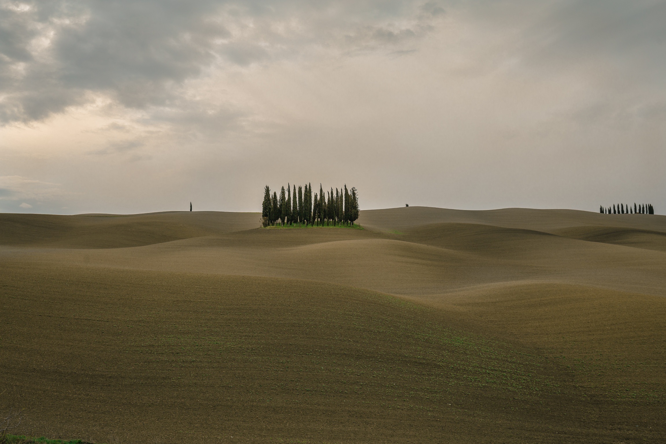 Waves of lice and shadows