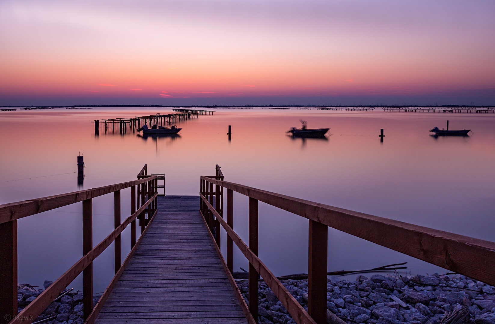 Sacca di Scardovari RO