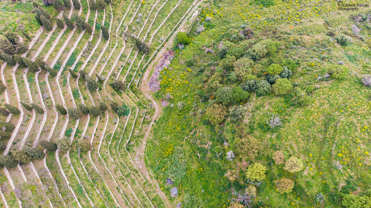 L'urlo di madre natura!