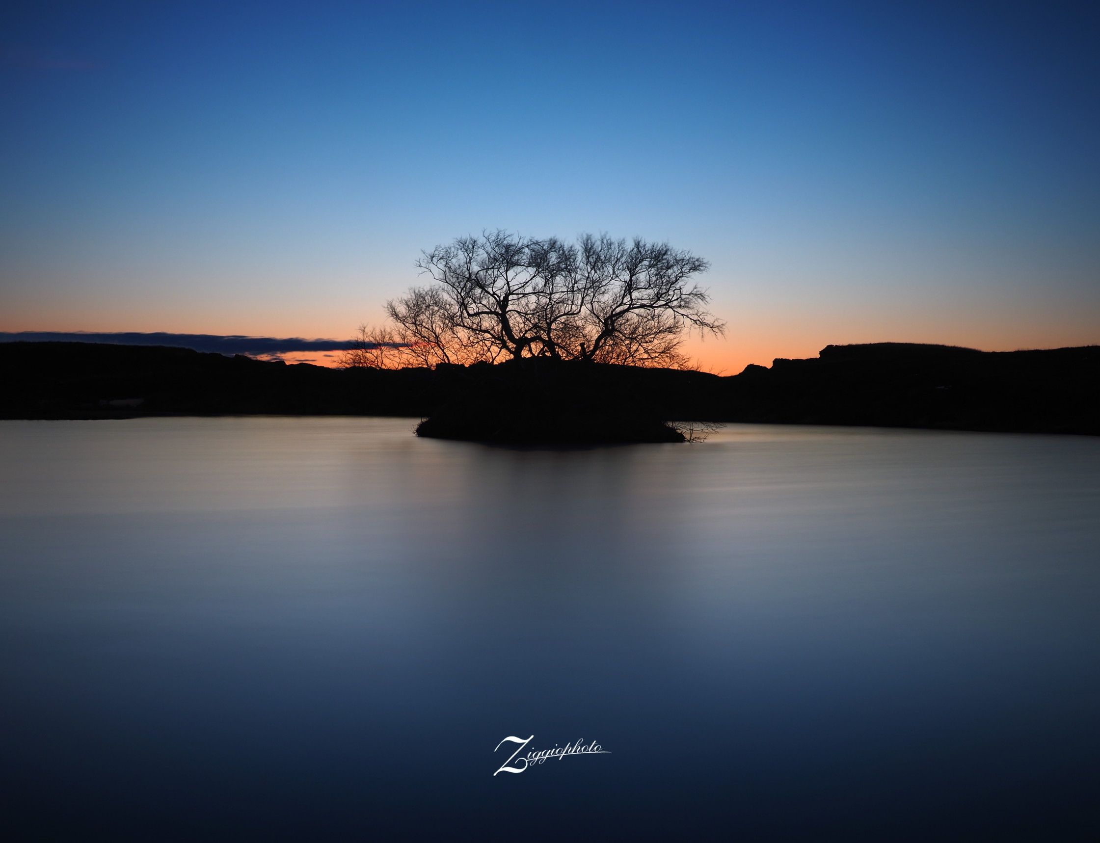 Lonely tree - Mývatn