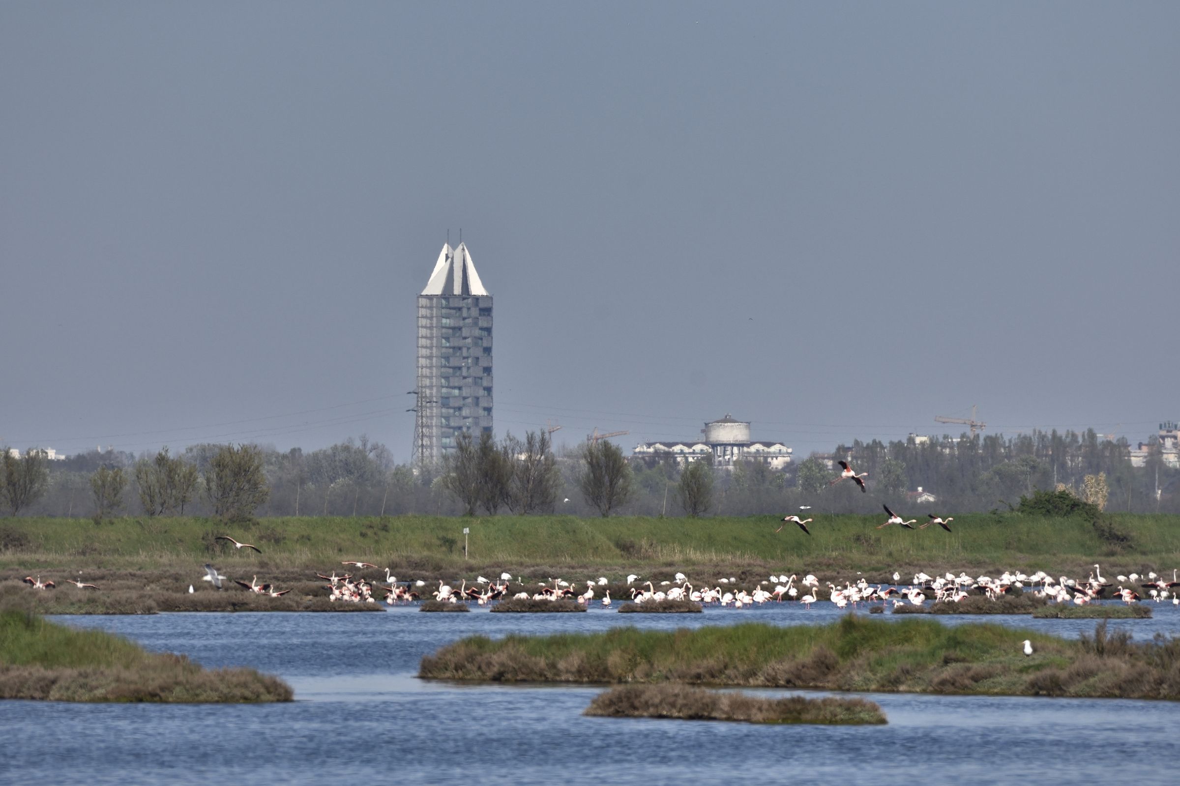 and behind them ... Jesolo!