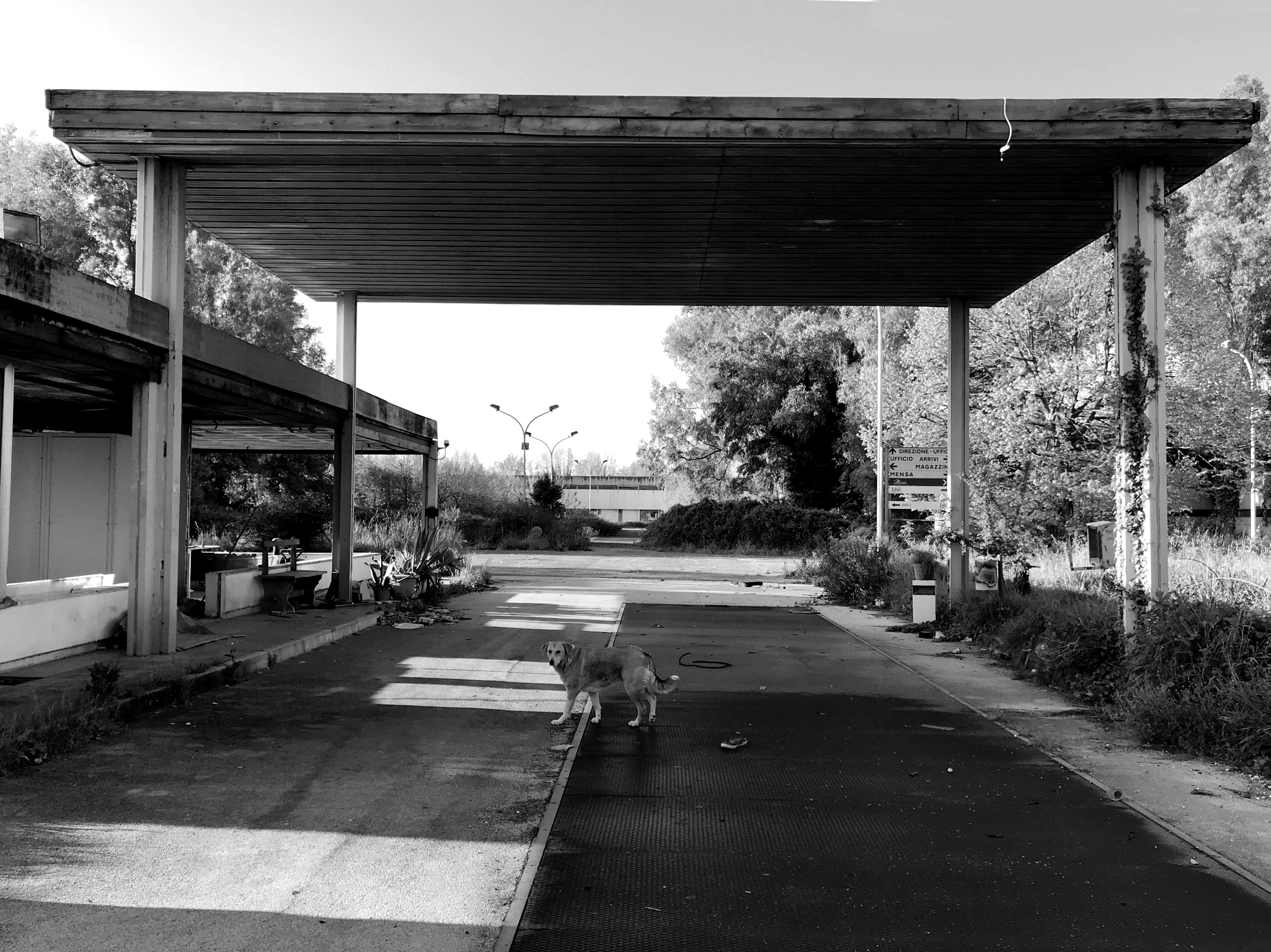 De-Industrializzazione