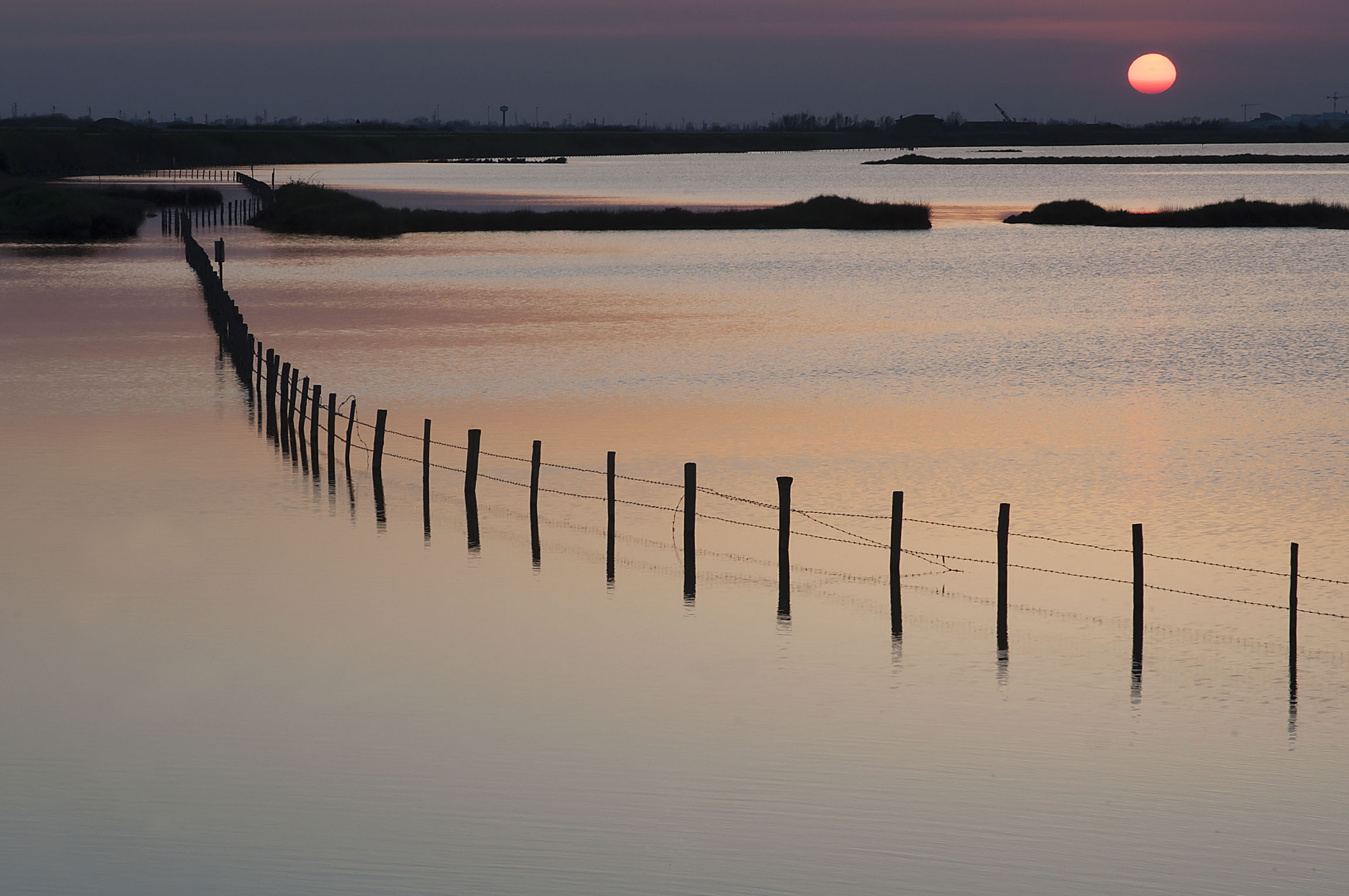 The charm of the Delta