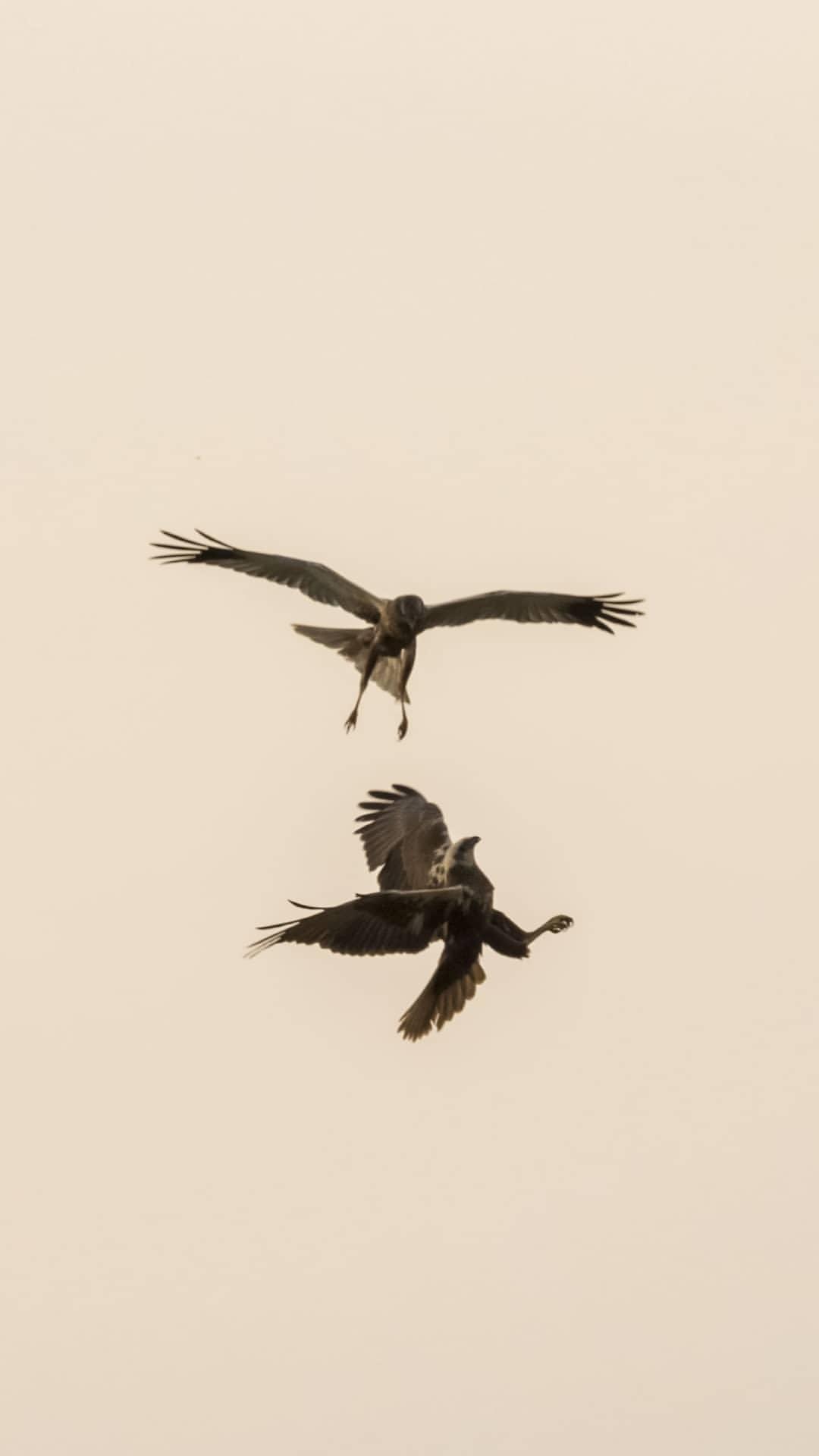 Discover the excitement and let perfection