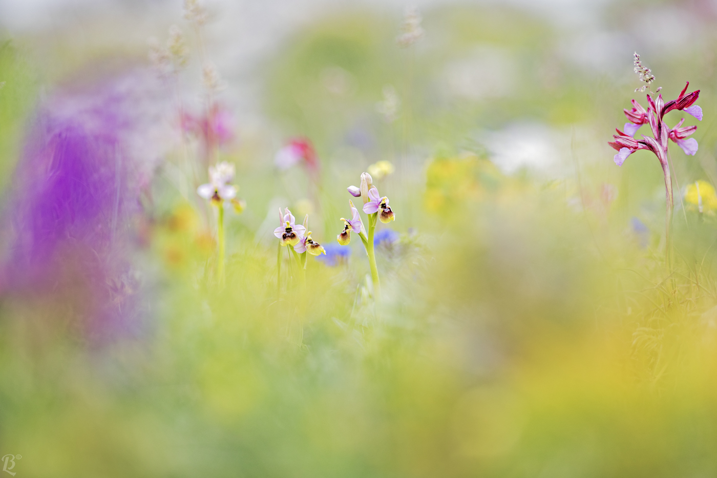 Untitled Photo