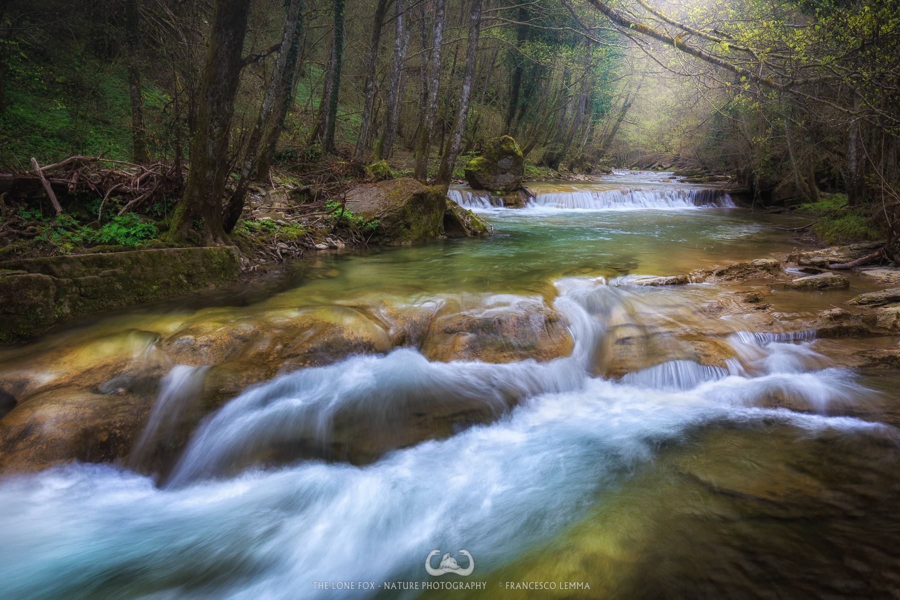 Spring in Acquacheta's stream 1