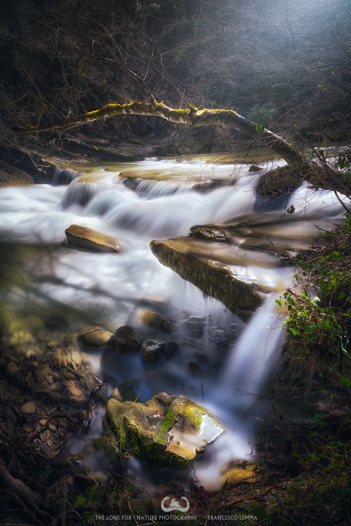 Spring in Acquacheta's stream 2