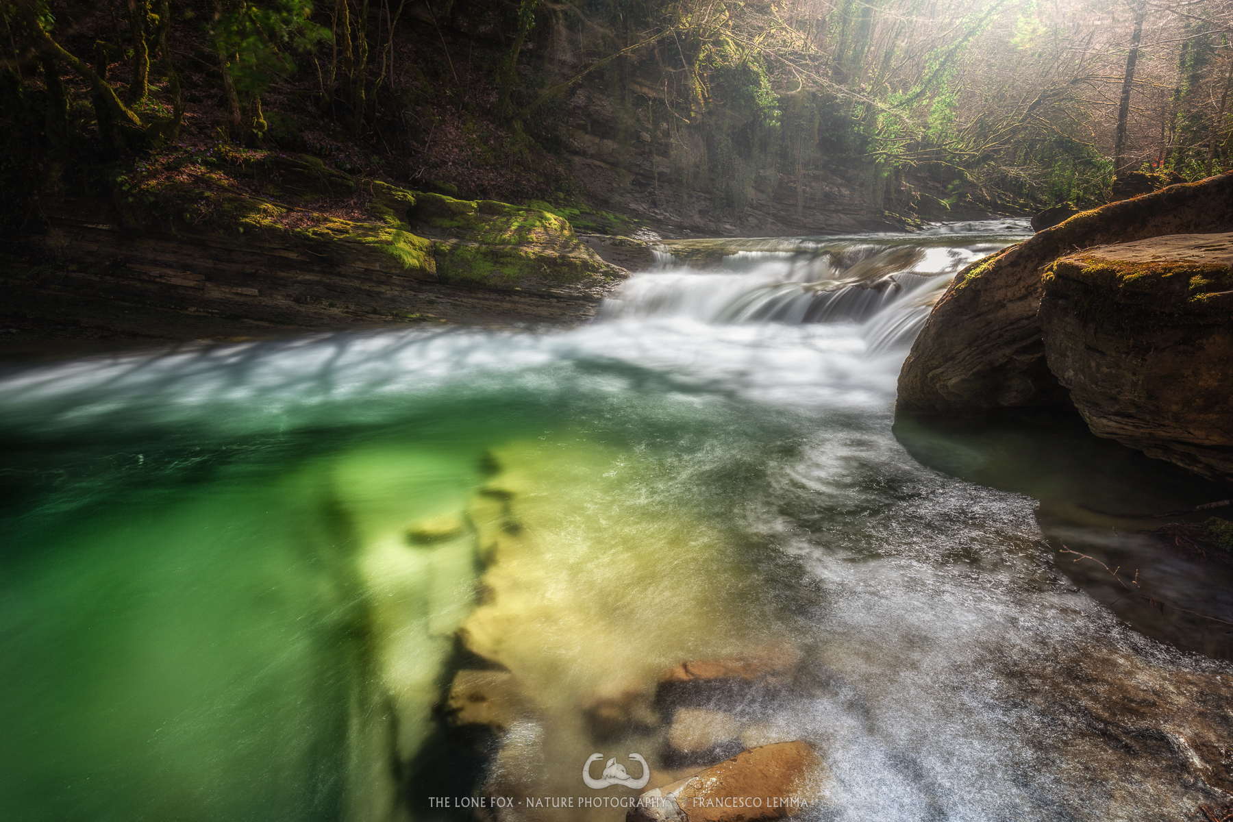 Spring in Acquacheta's stream 3