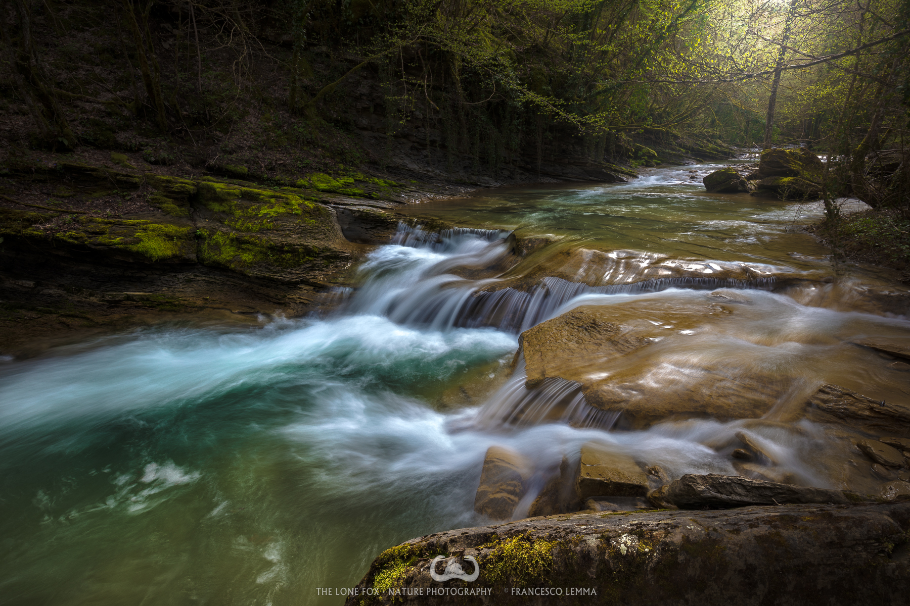 Spring afternoon on Acquacheta's stream
