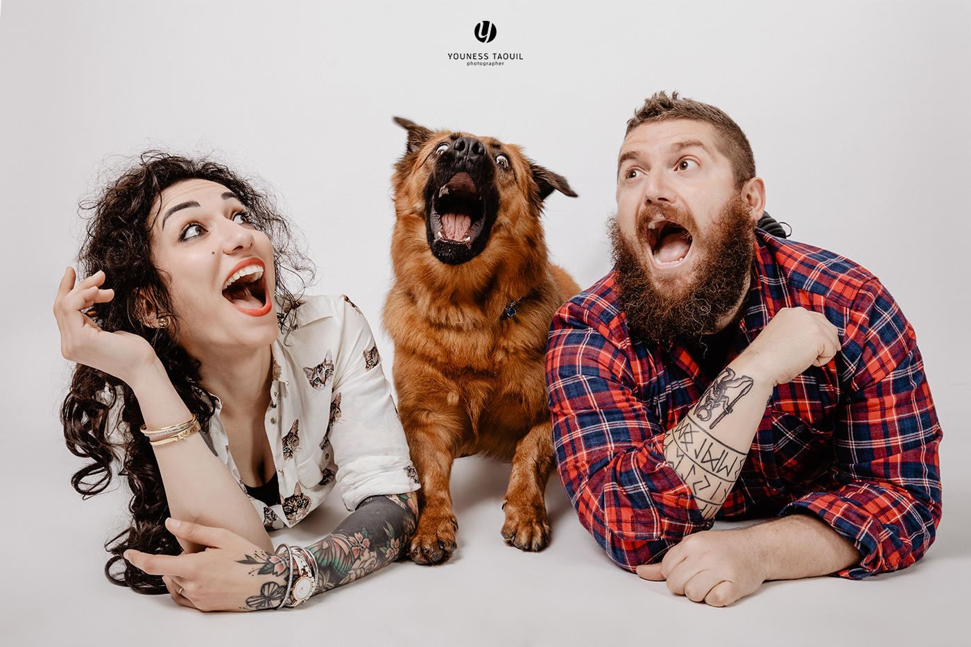 There's no tripe for cats