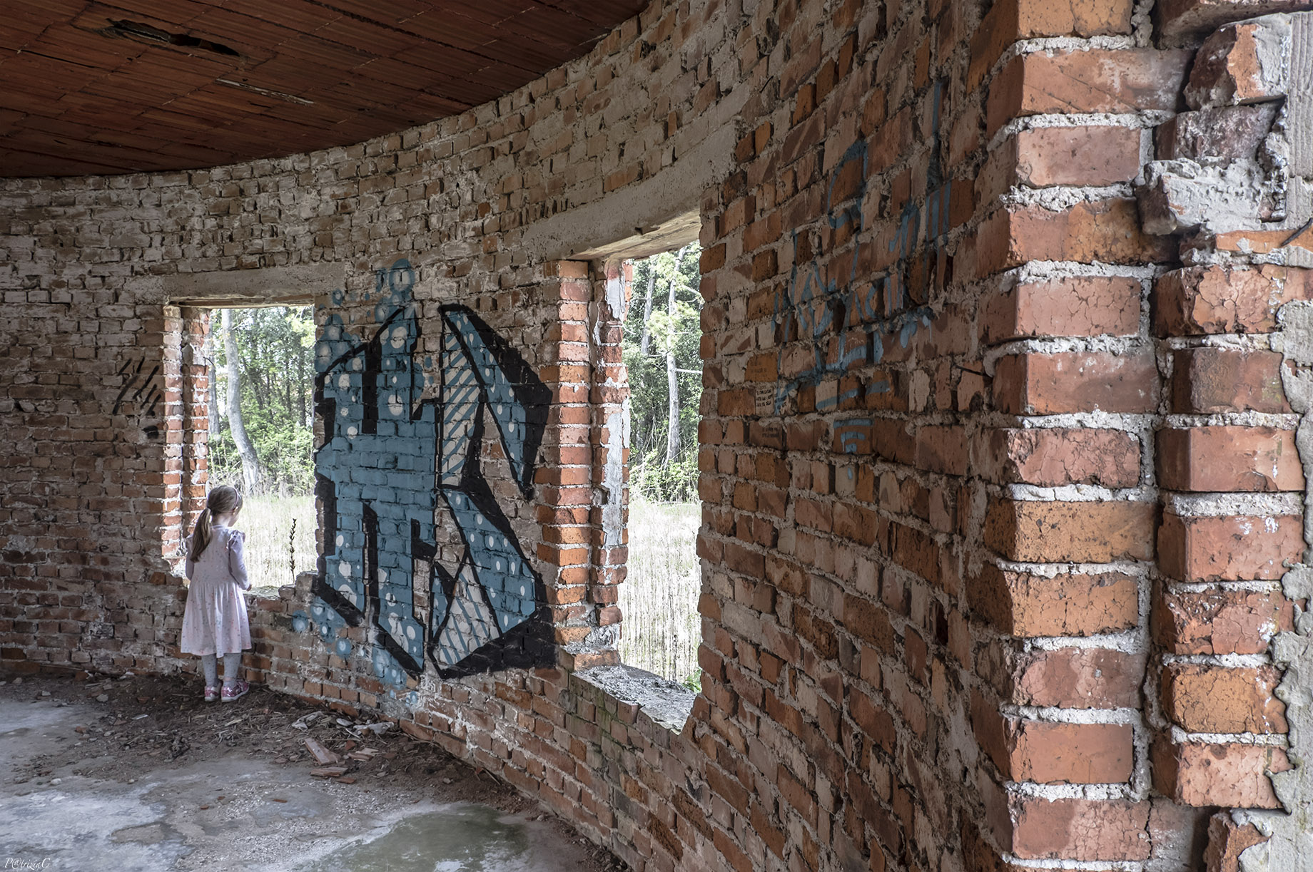 ...la Principessa Azzurra ...