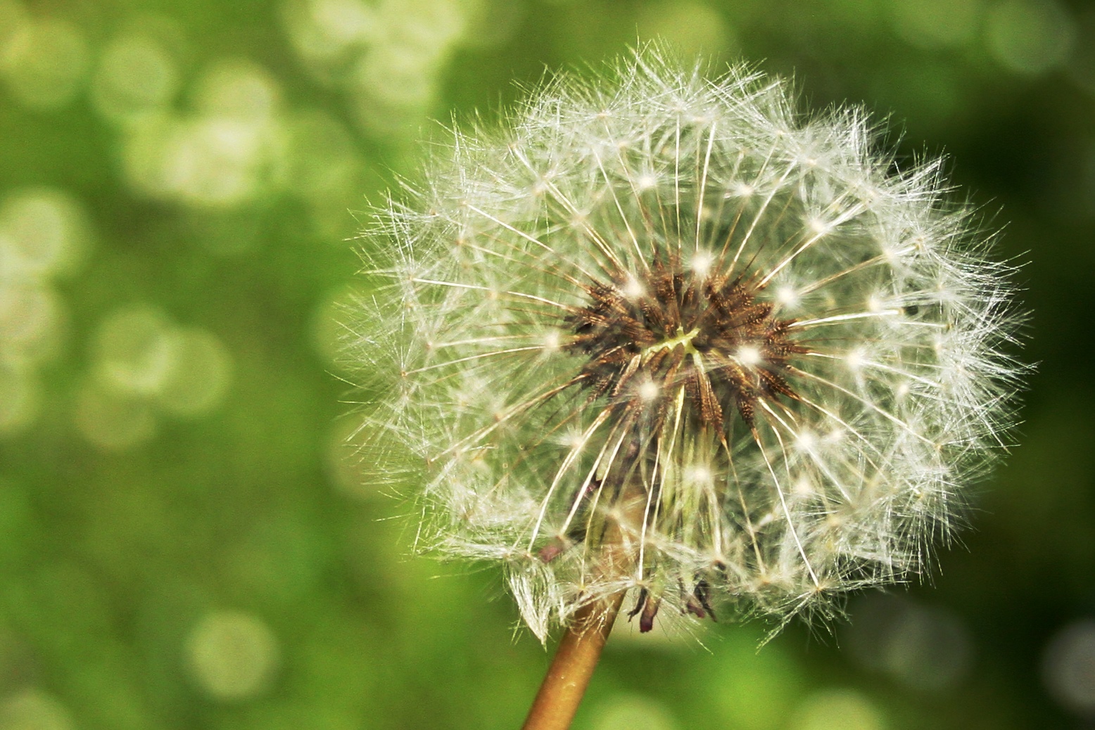 per favore non soffiare !