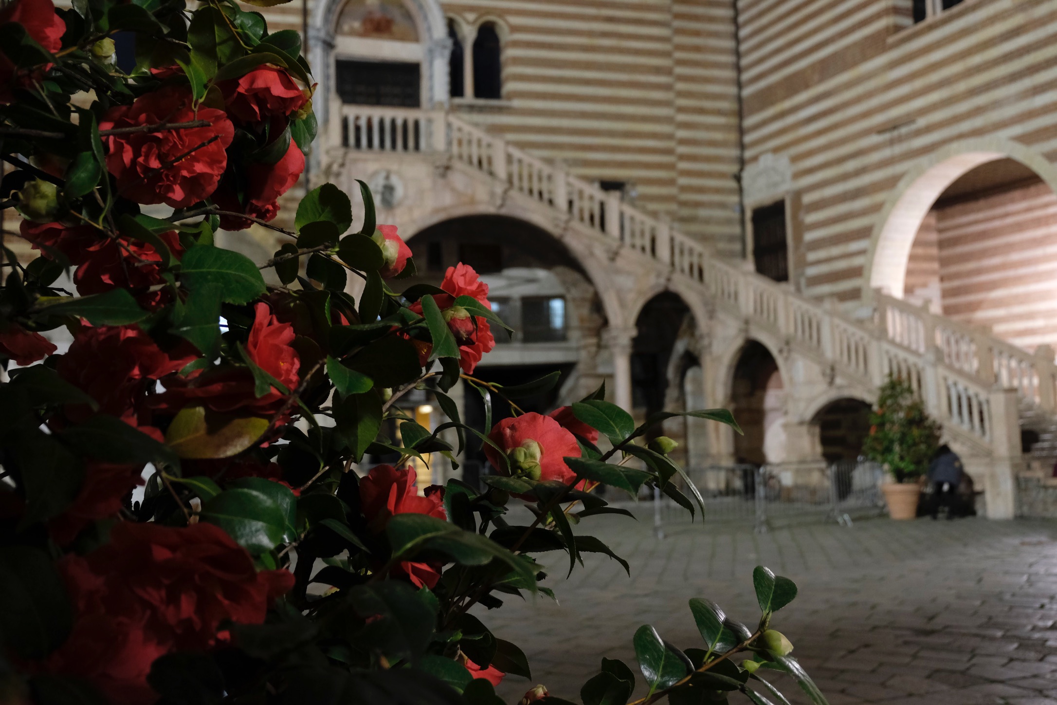 Verona, Cortile Mercato Vecchio