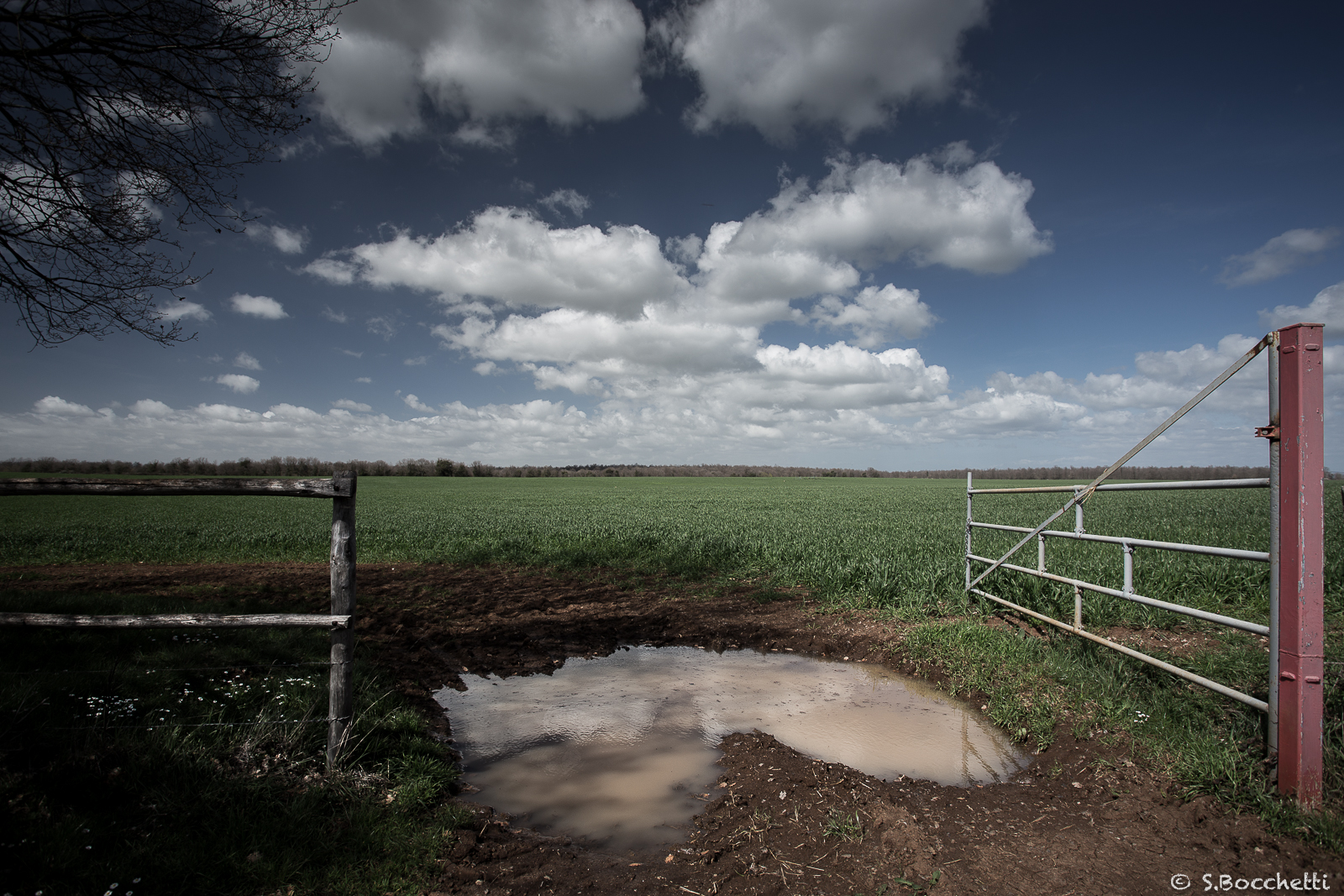 Put one heart one day in a field