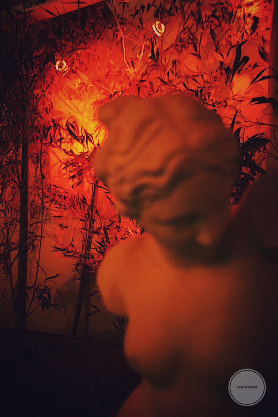 Venere su sfondo rosso