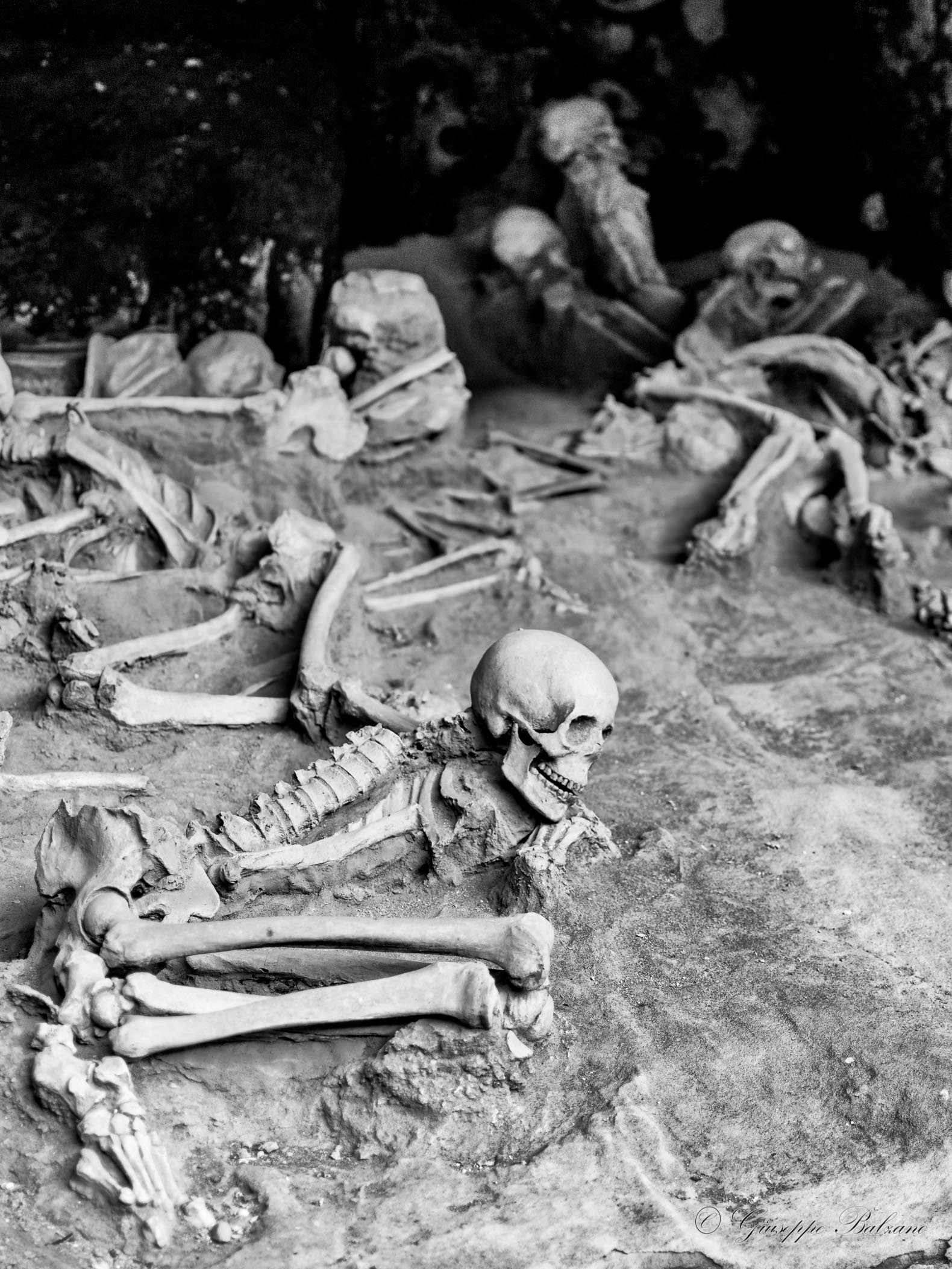 Fuggiaschi di Ercolano