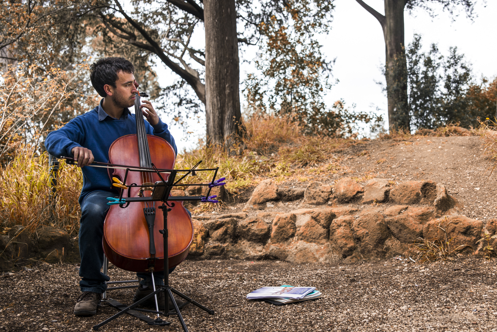 Cellist at Villa Torlonia, Rome