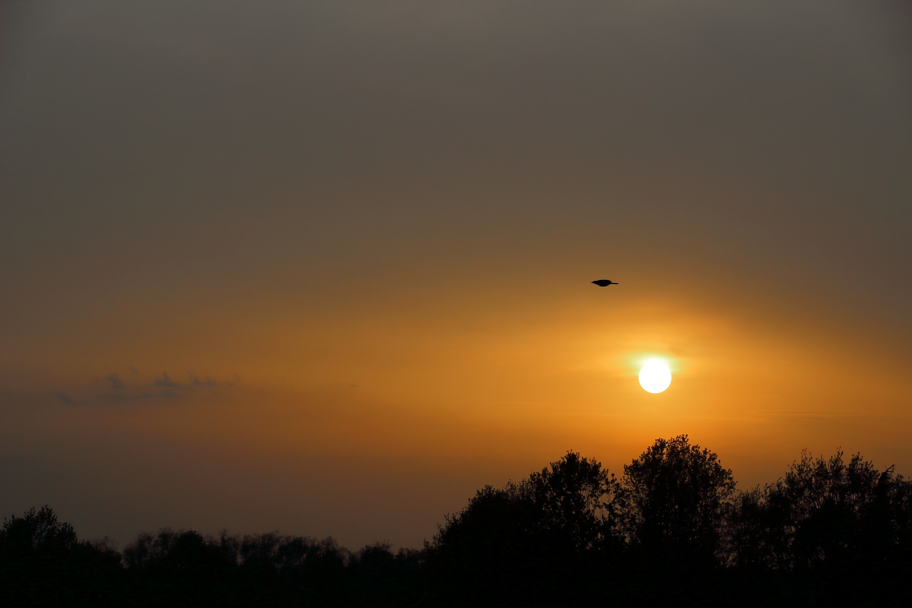 April 16, 18 African sunset