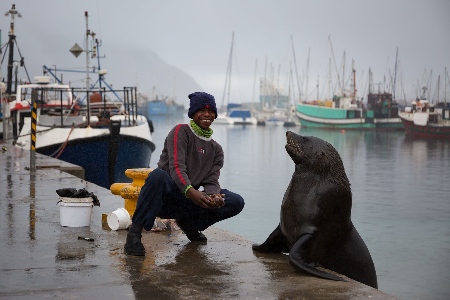 Il pescatore e la sua amica otaria.