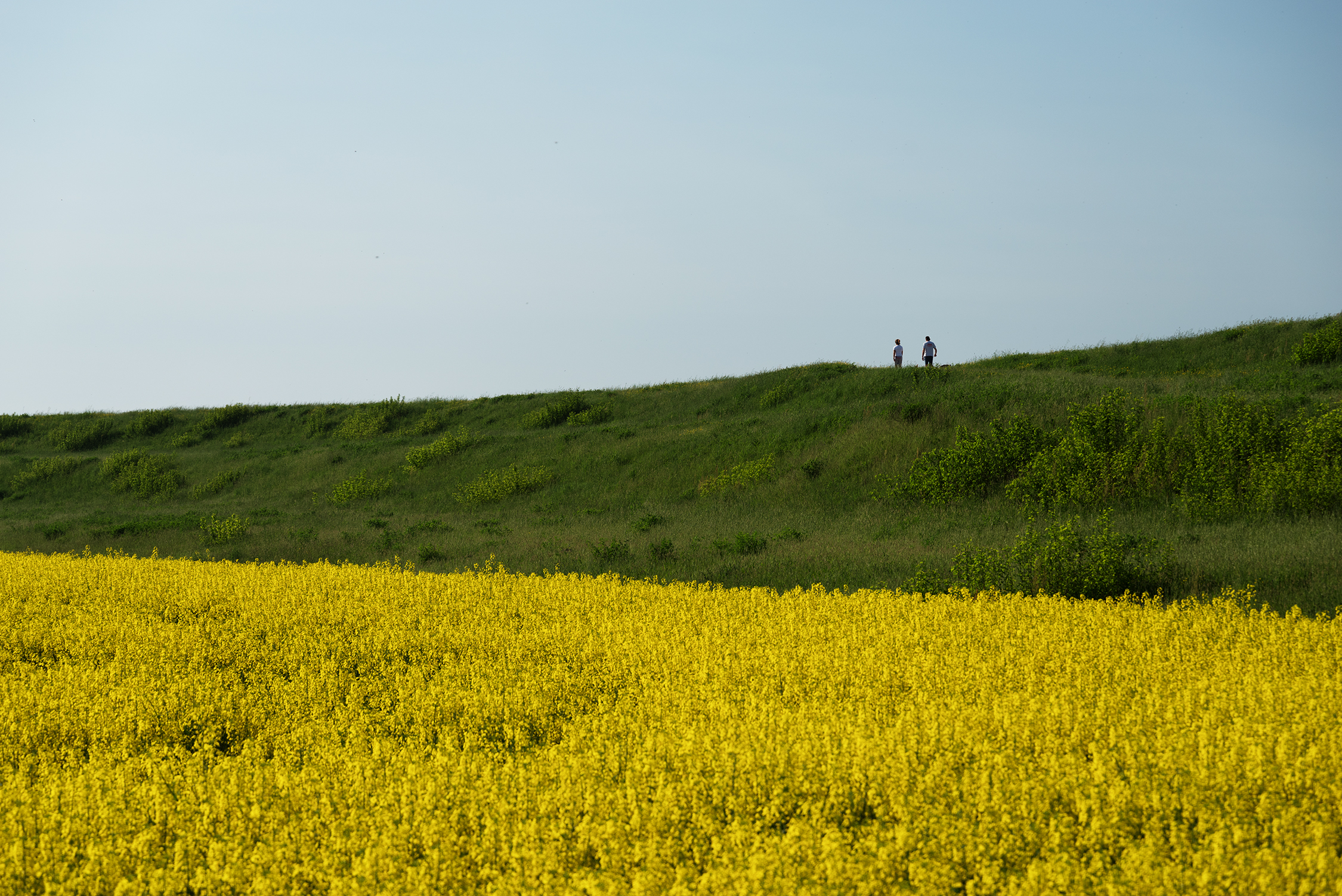 Camminando verso sud...