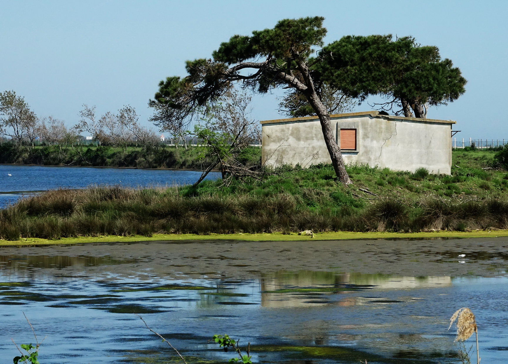 casotto sul delta del Po