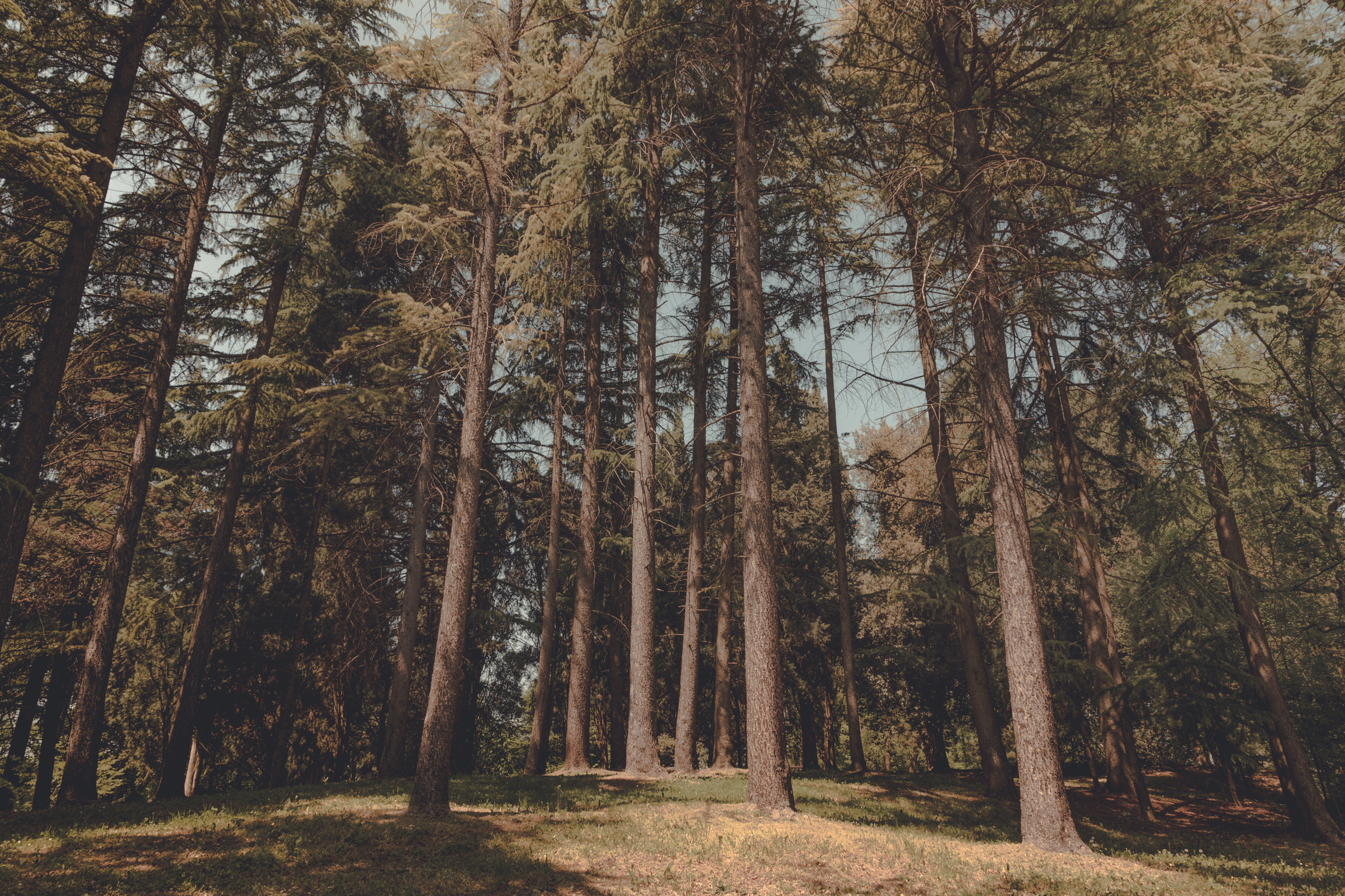 Prime giornate di sole...