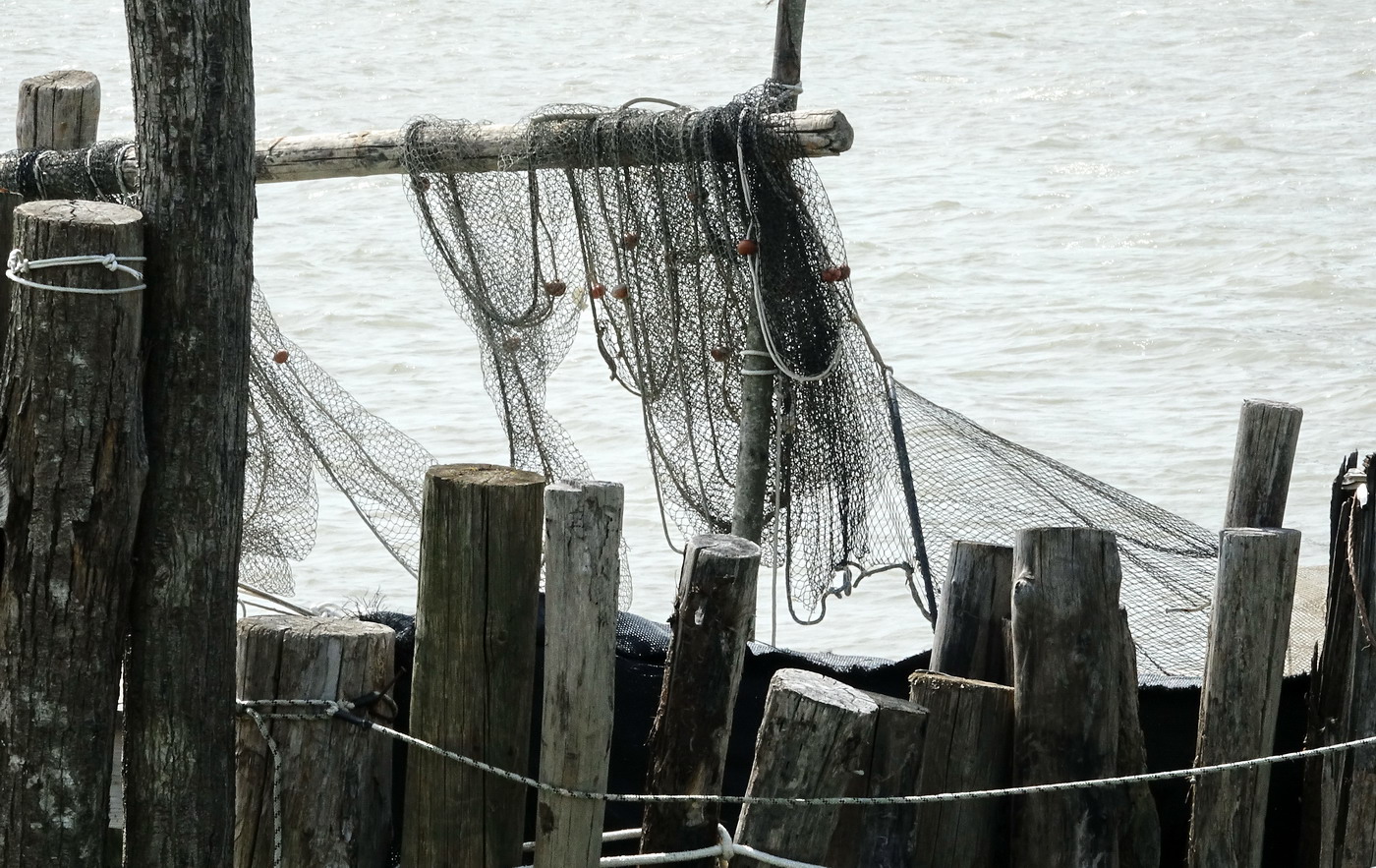 reti sul delta del Po