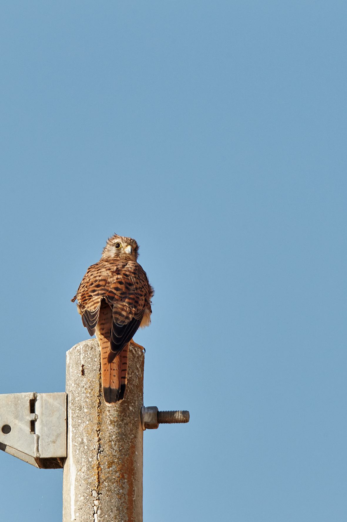 Rotations and attentions