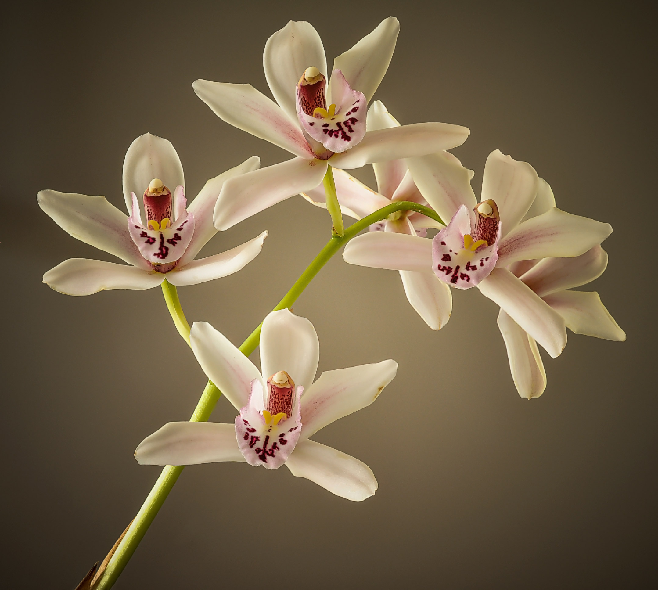 Ricordando mia madre