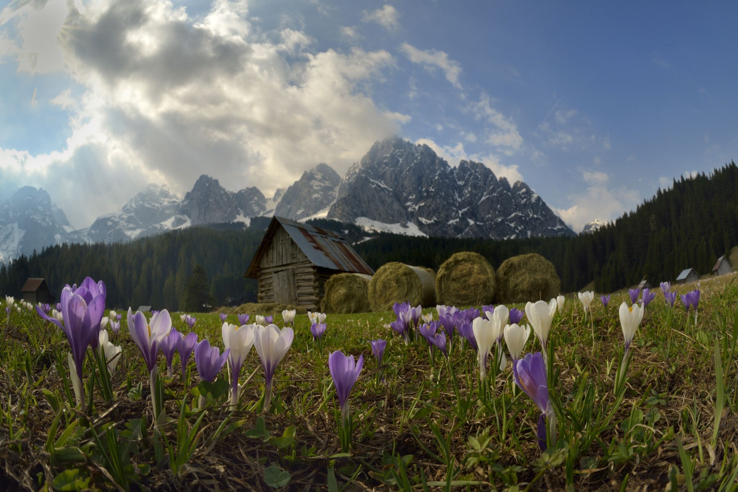Crocchi fairy Valley. ...