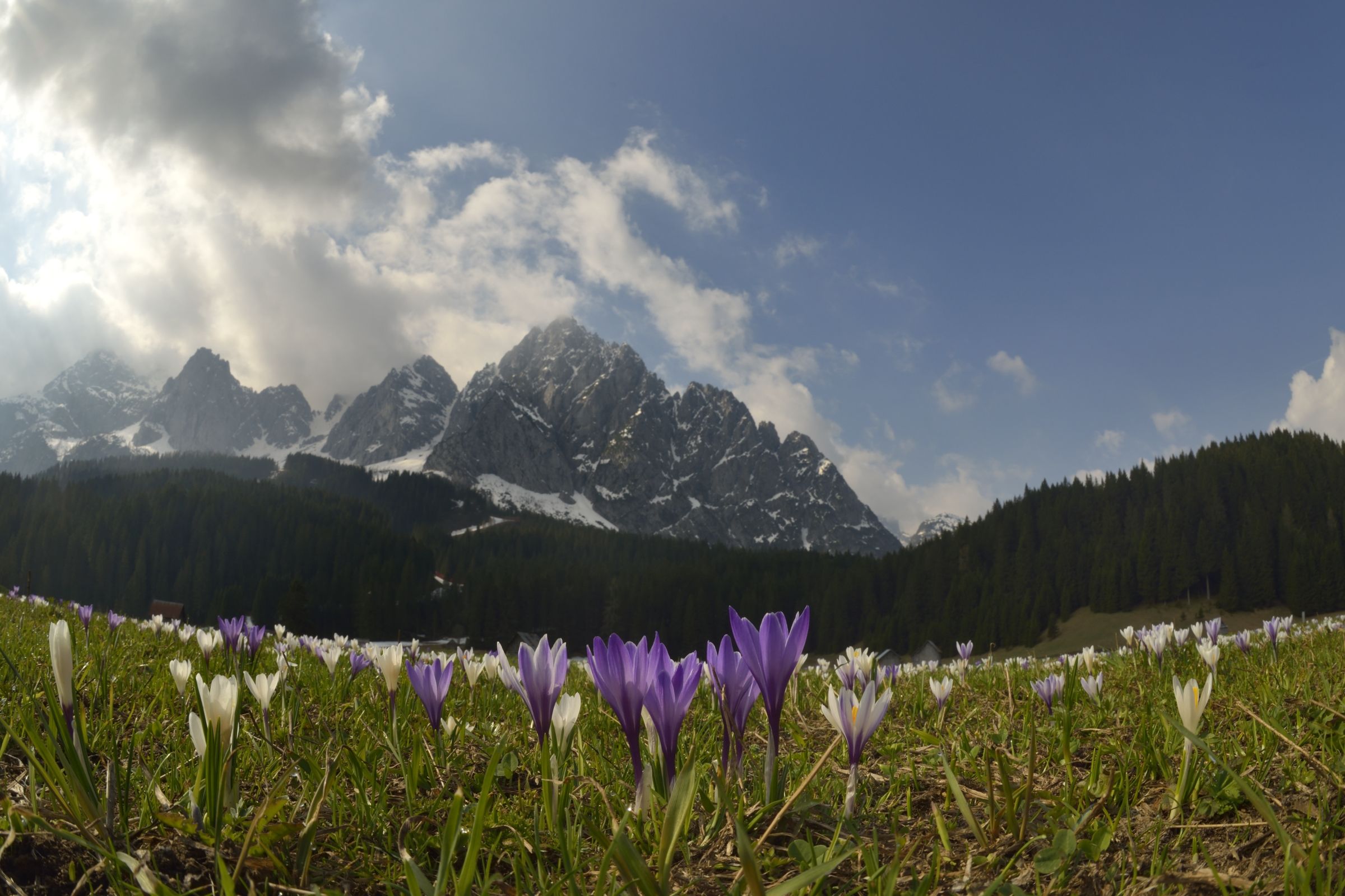 crocchi ambientati...
