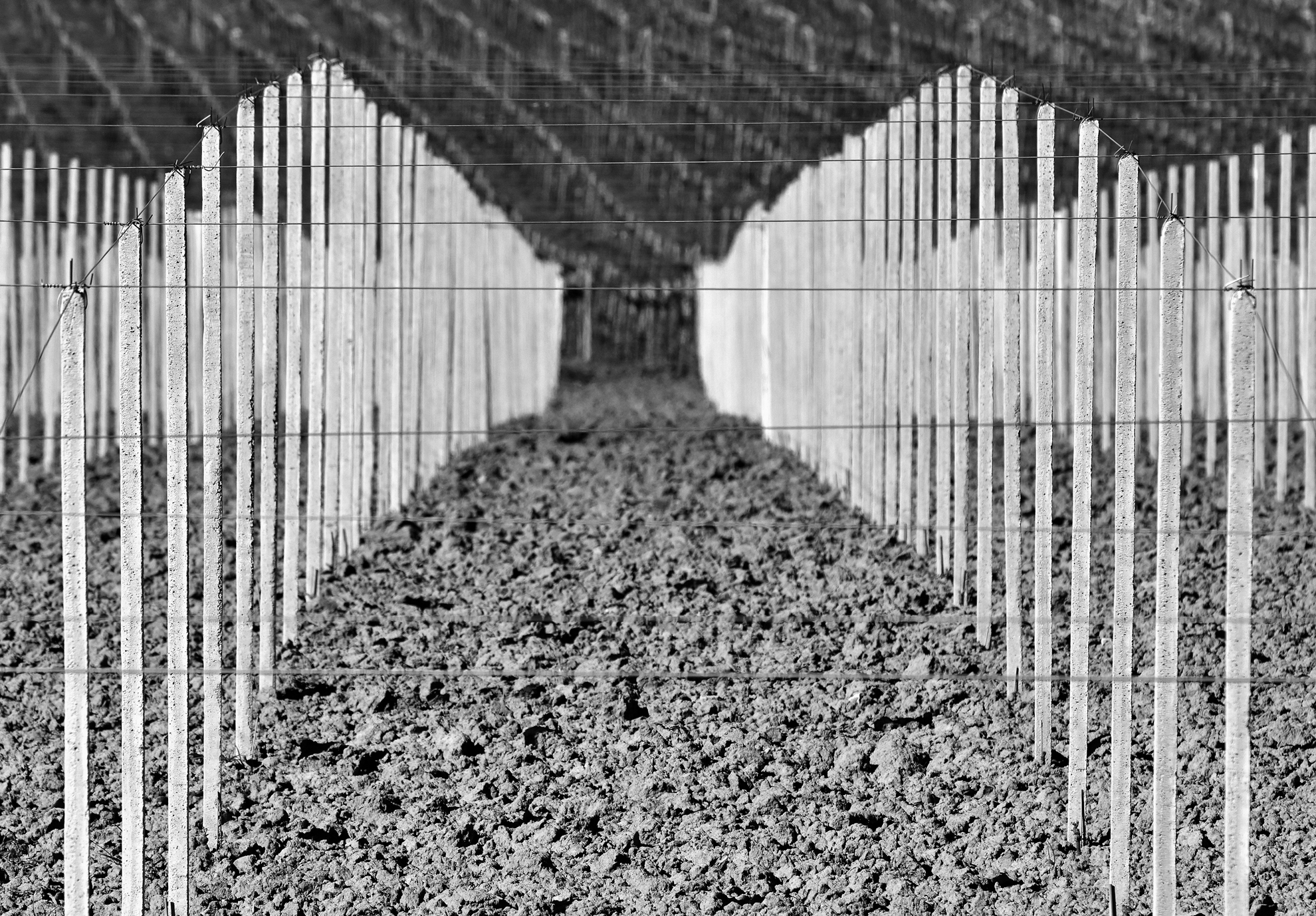 La Sorda Musica  della  Terra