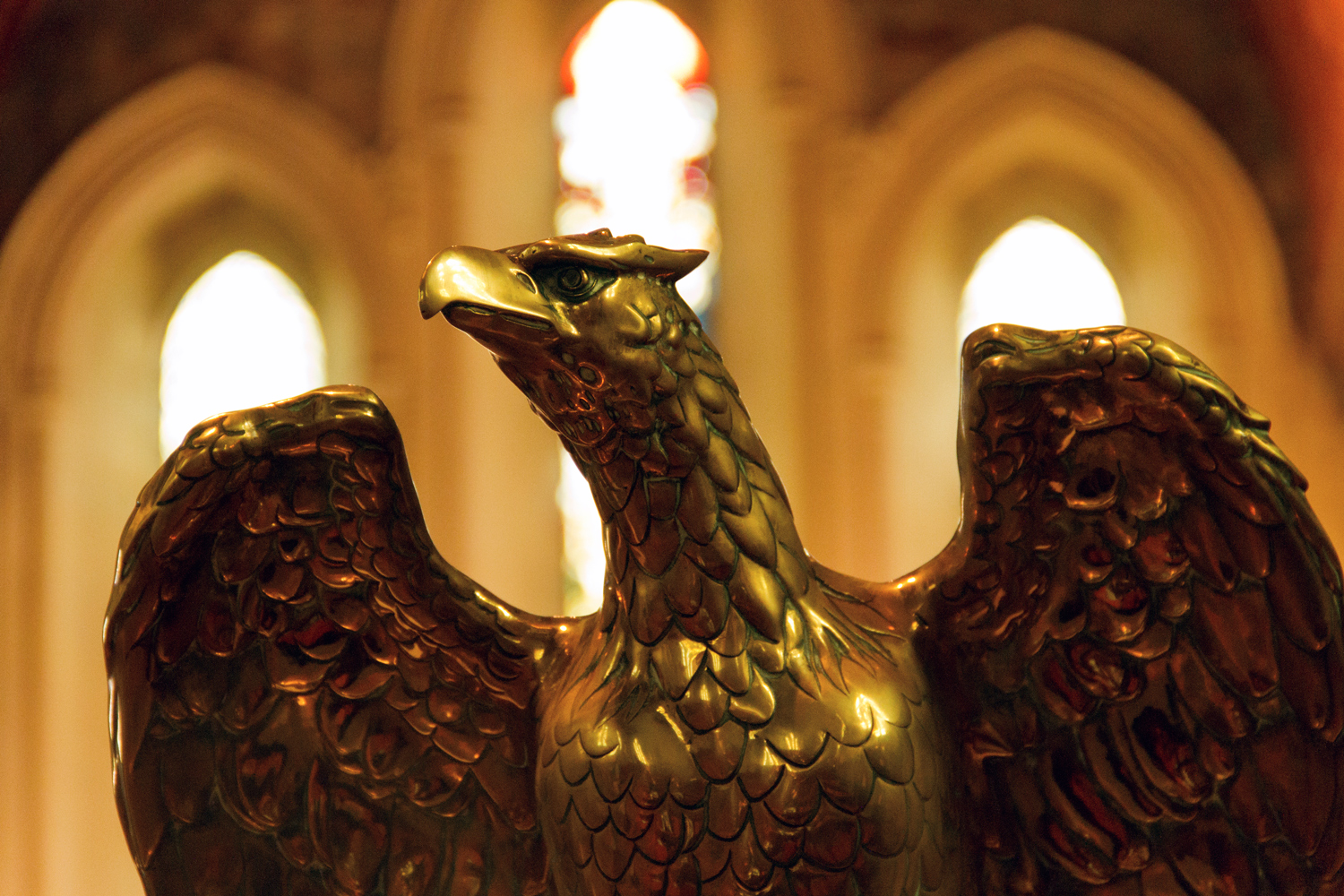 Saint Brigid's Cathedral - Diocese of Kildare