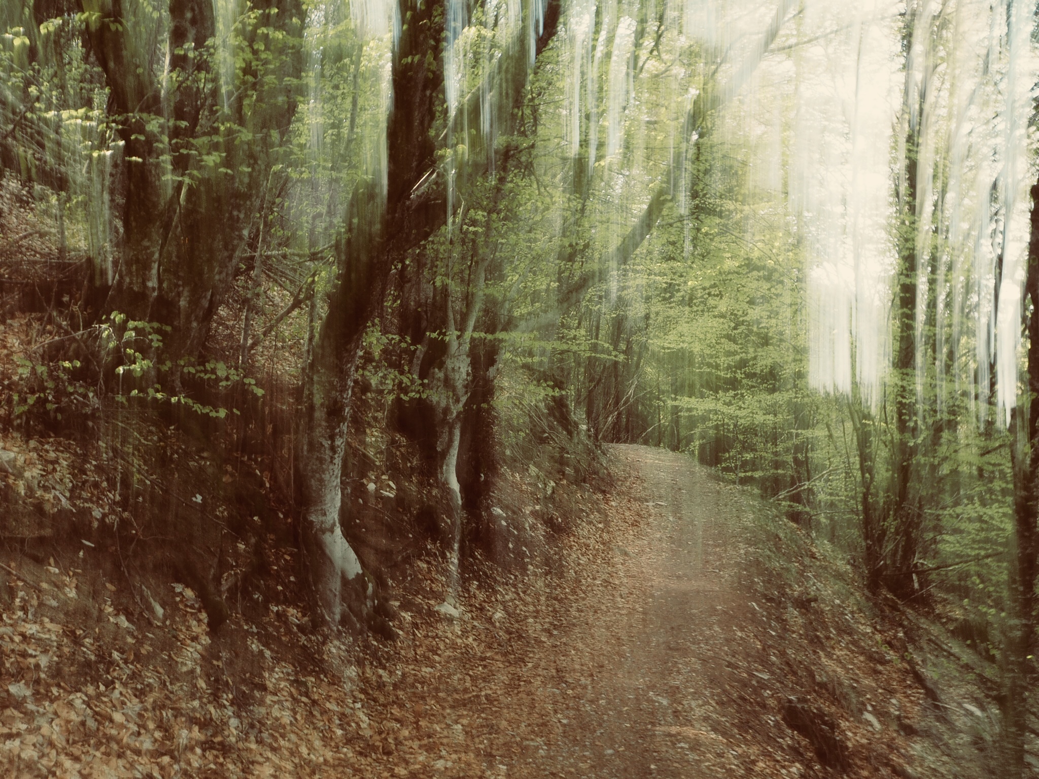 Sentiero 106 (Caldirola)