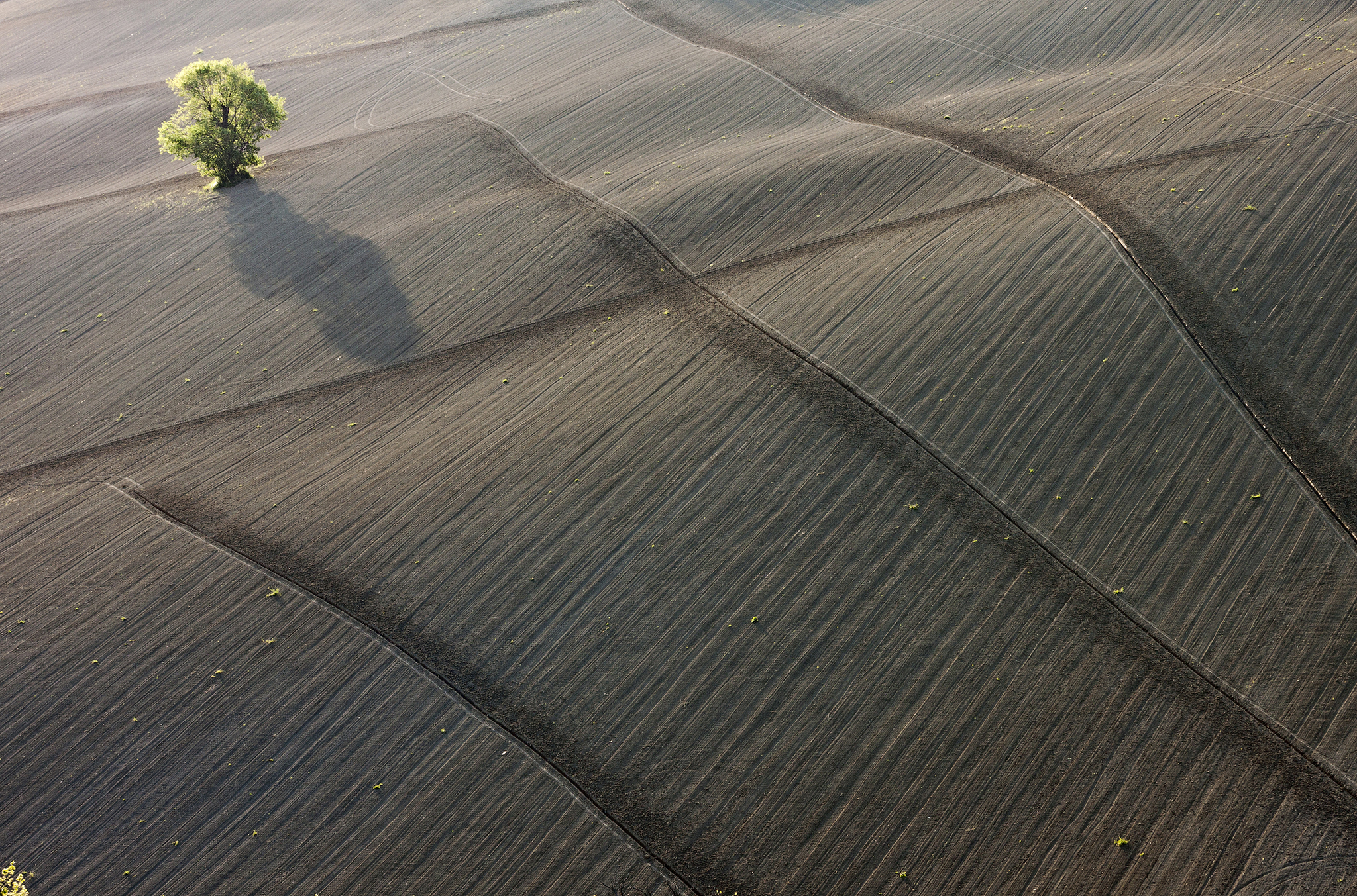 Le pennellate del contadino