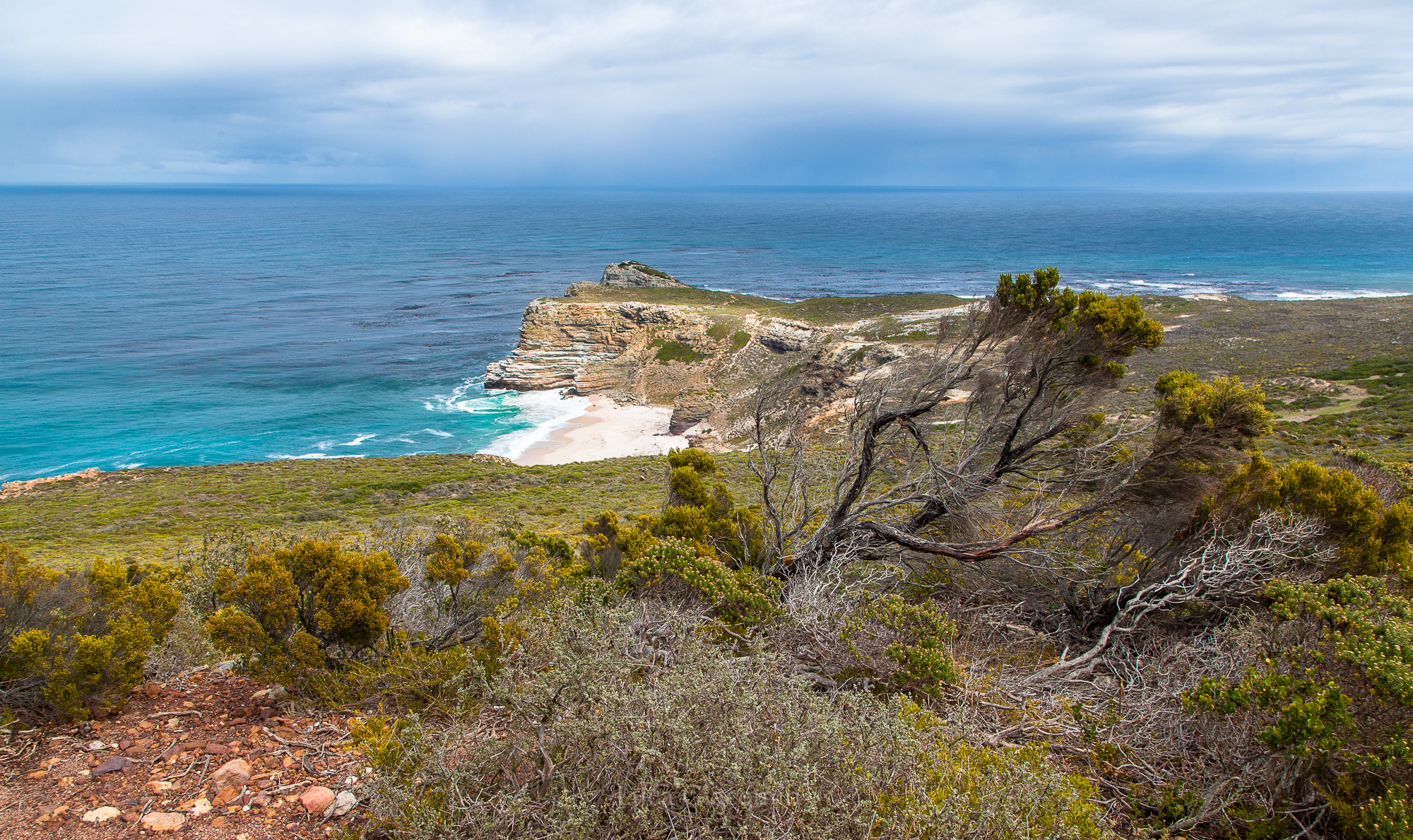Cape of good hope