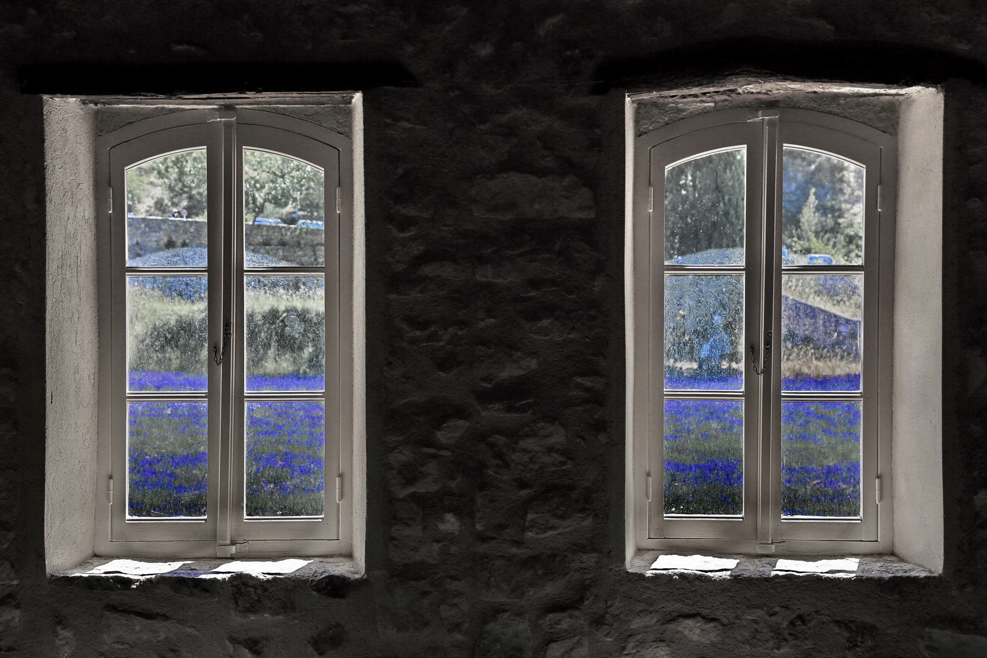 dalle finestre il viola