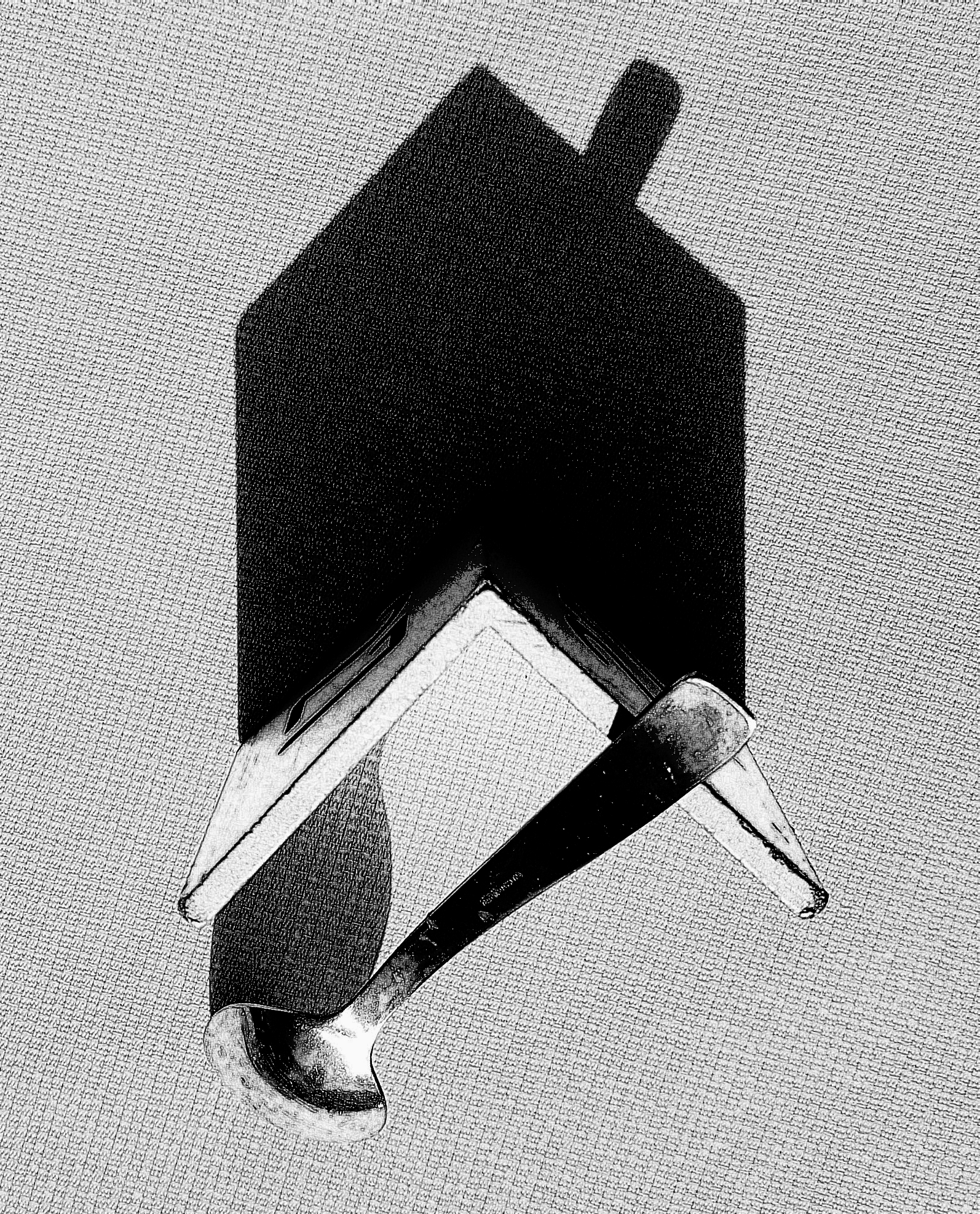 The House in the shadows