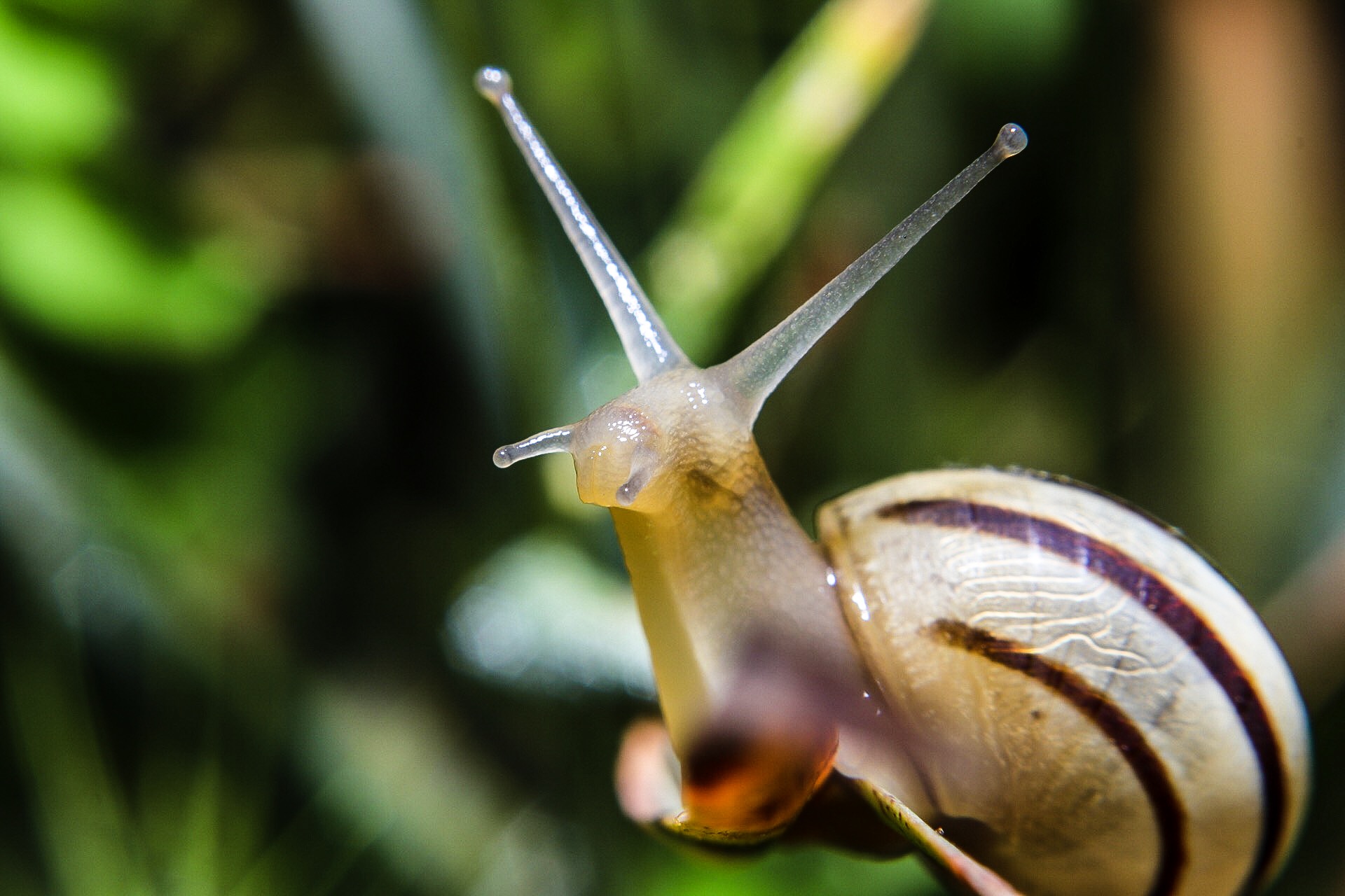 Looking for handholds