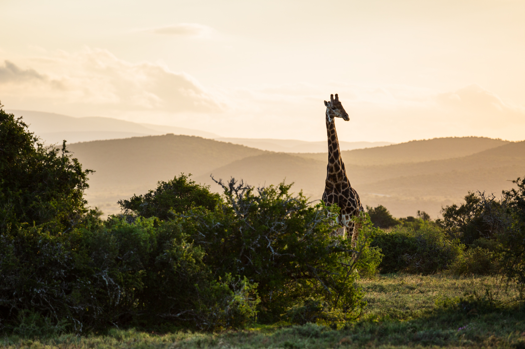Primo incontro del mattino.