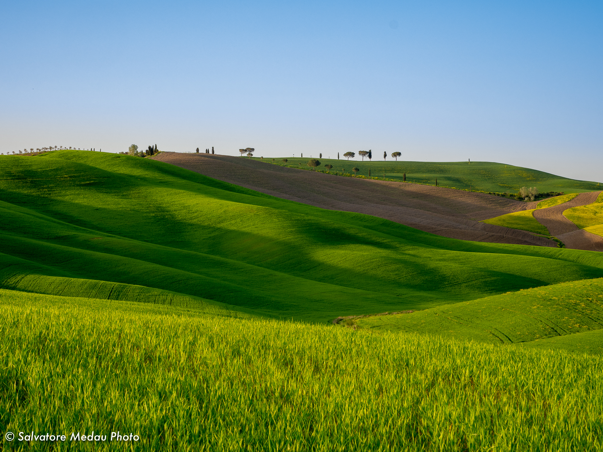 In the hills of Val d'Orcia