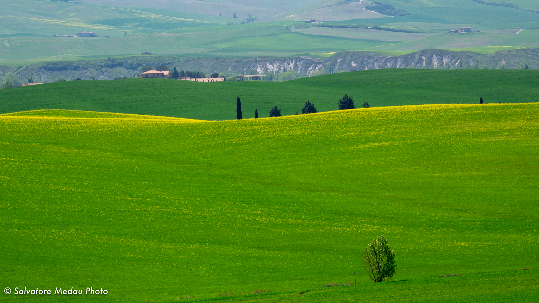 In the hills of Val d'Orcia