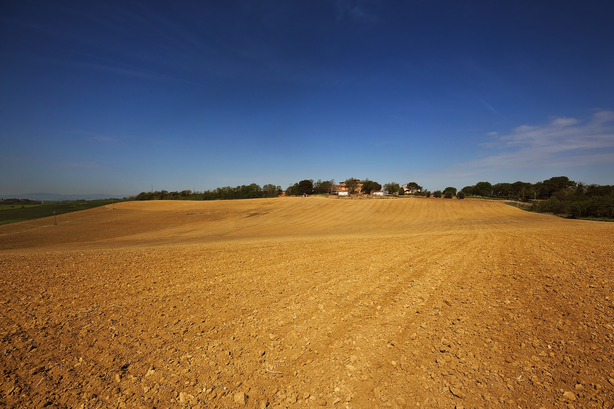Red and blue in Cortona country