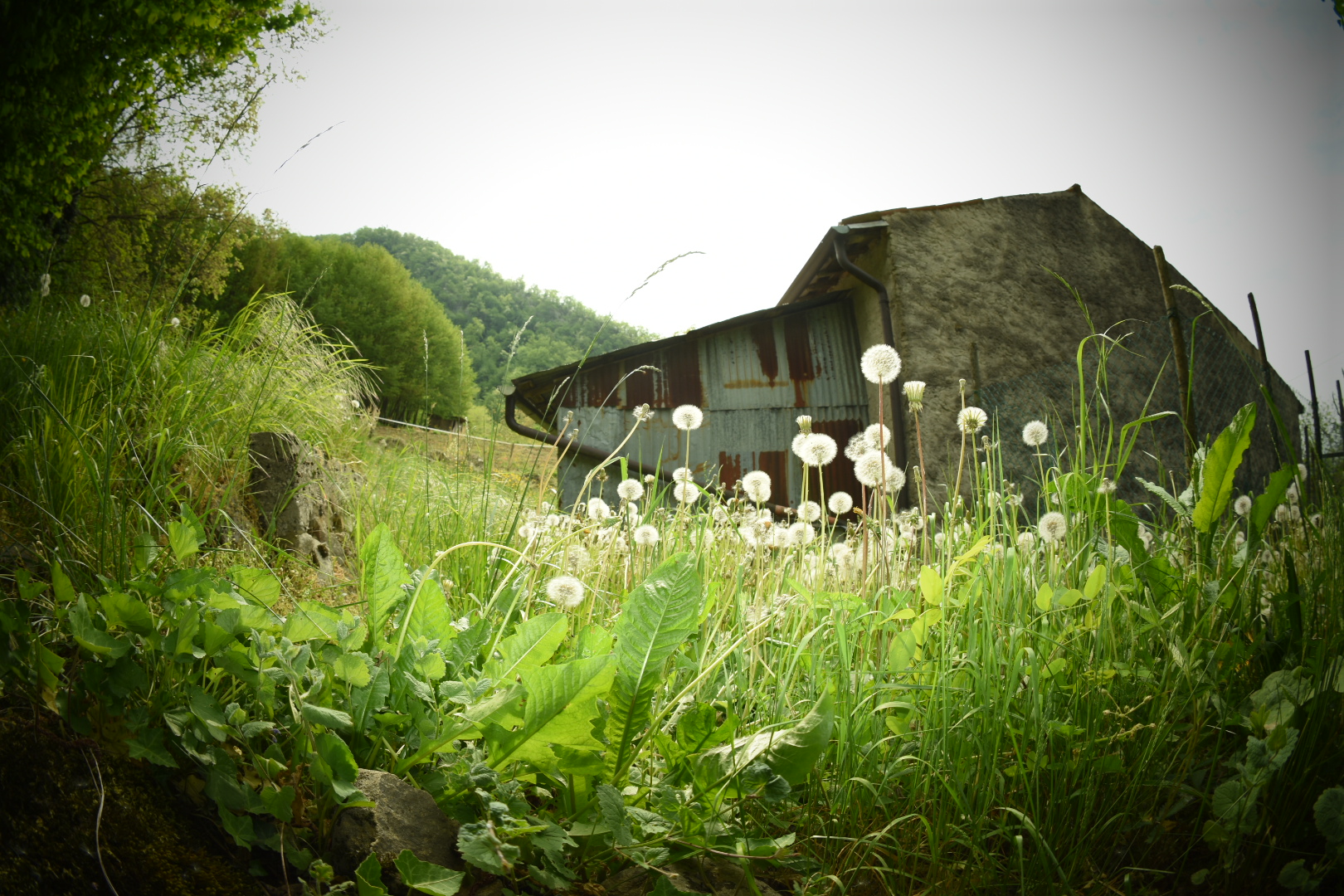 Along the valle dei mulini