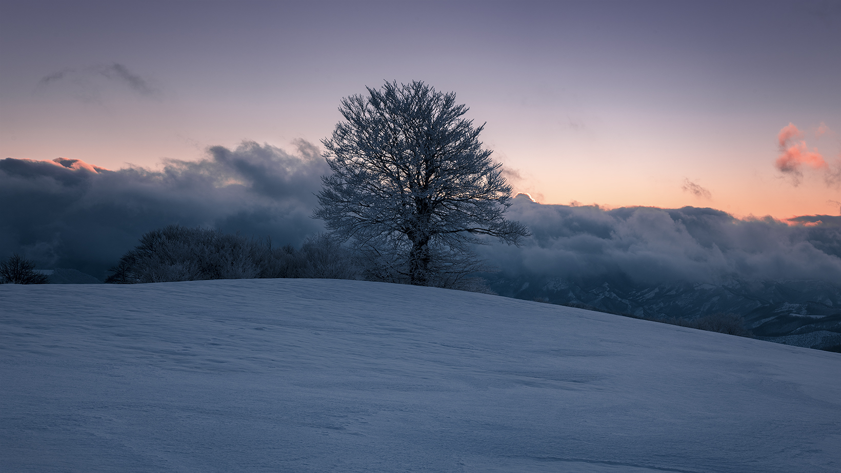 In un freddo dopo tramonto