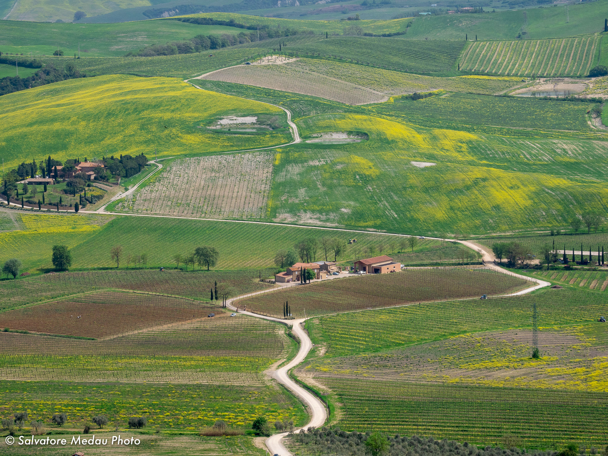 The hills of val d'Orcia