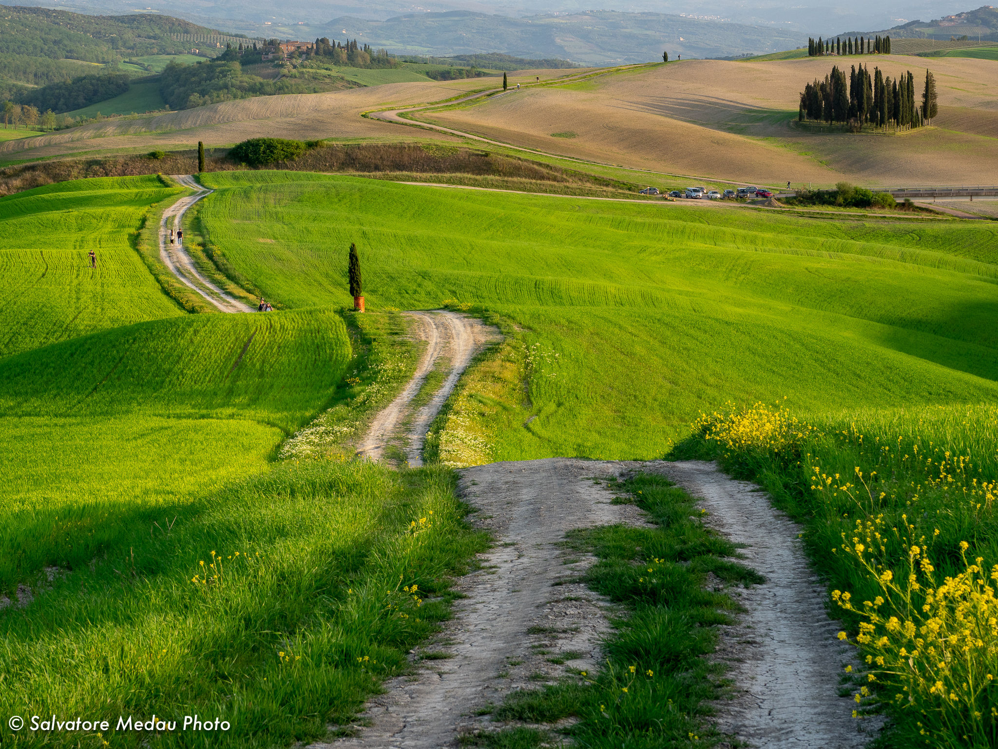 The hills of val d'Orcia