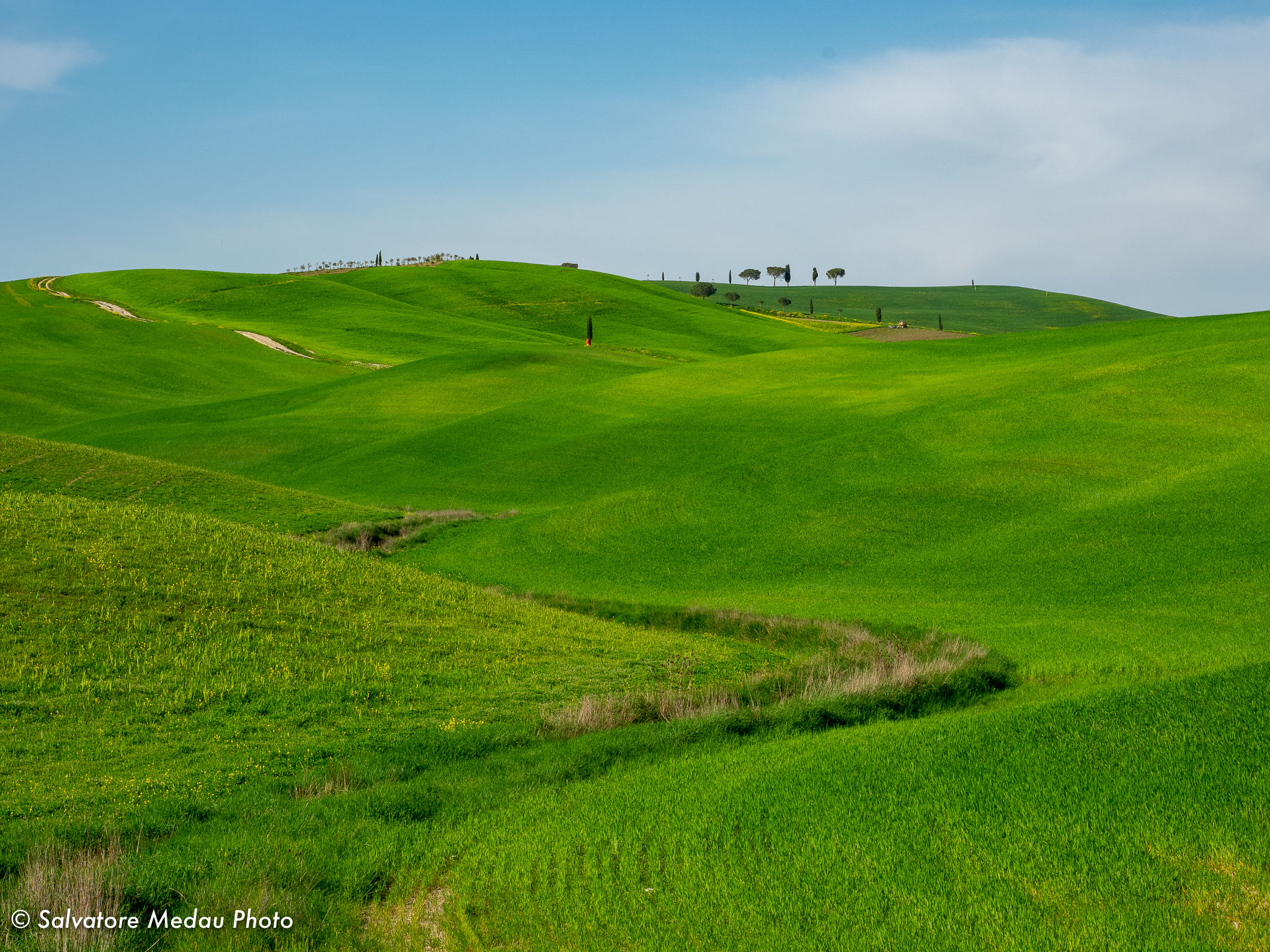 Hills in Val d'Orcia