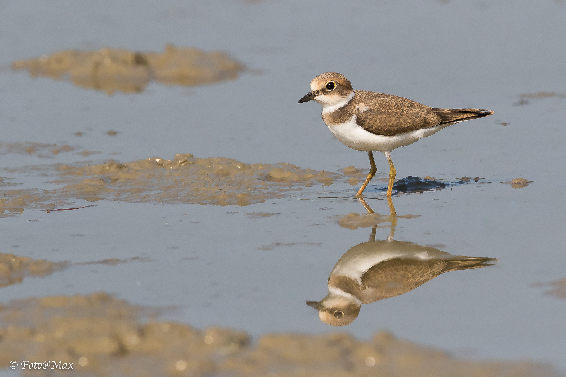 arriva il Corriere ...