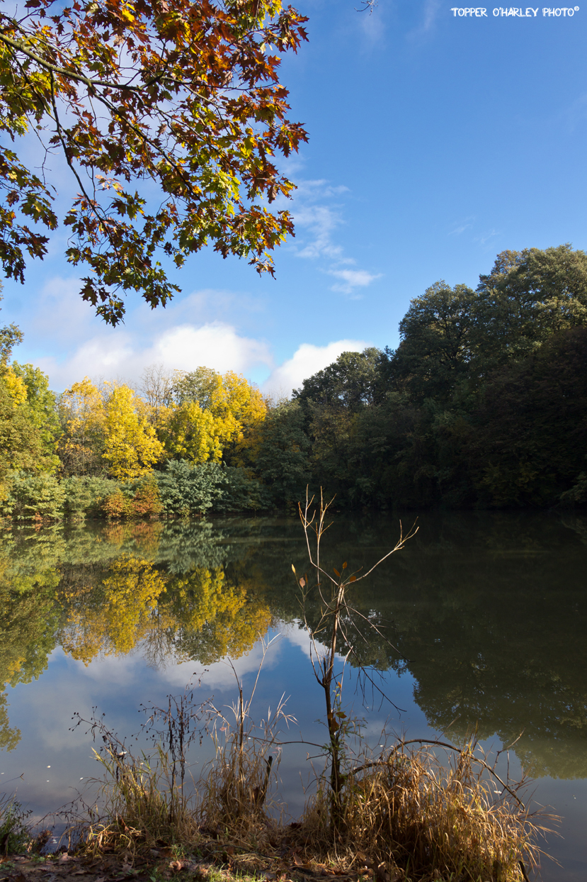 Lago della Svizzera - Boschi di Carrega